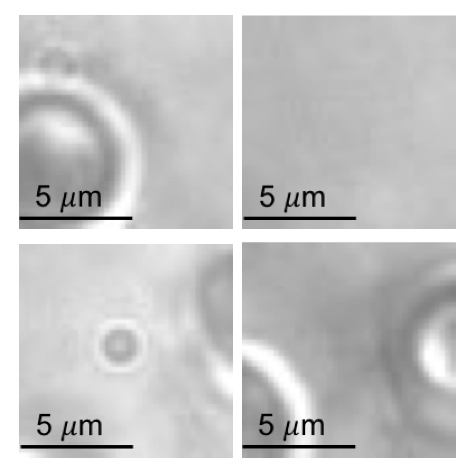 Applsci 07 01327 g018