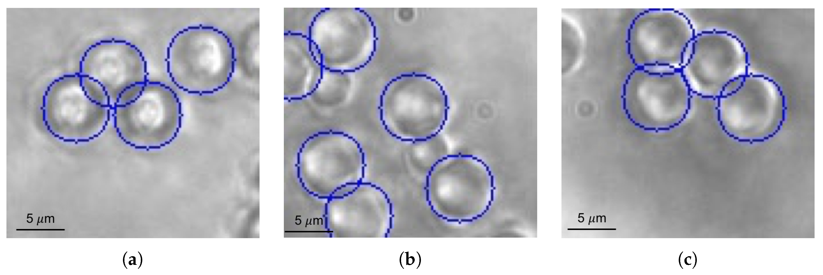 Applsci 07 01327 g019