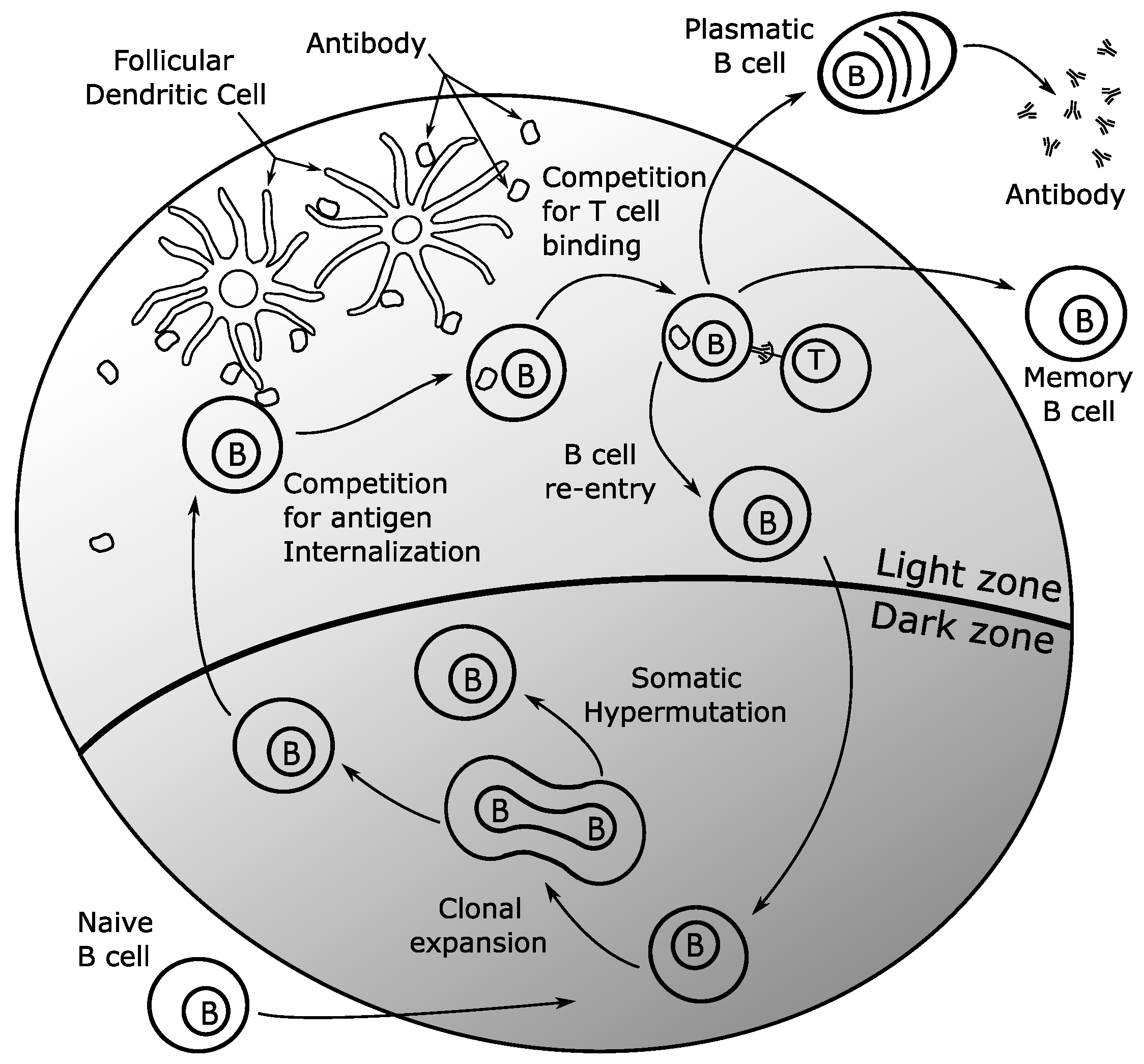 Applsci 08 00031 g001 550