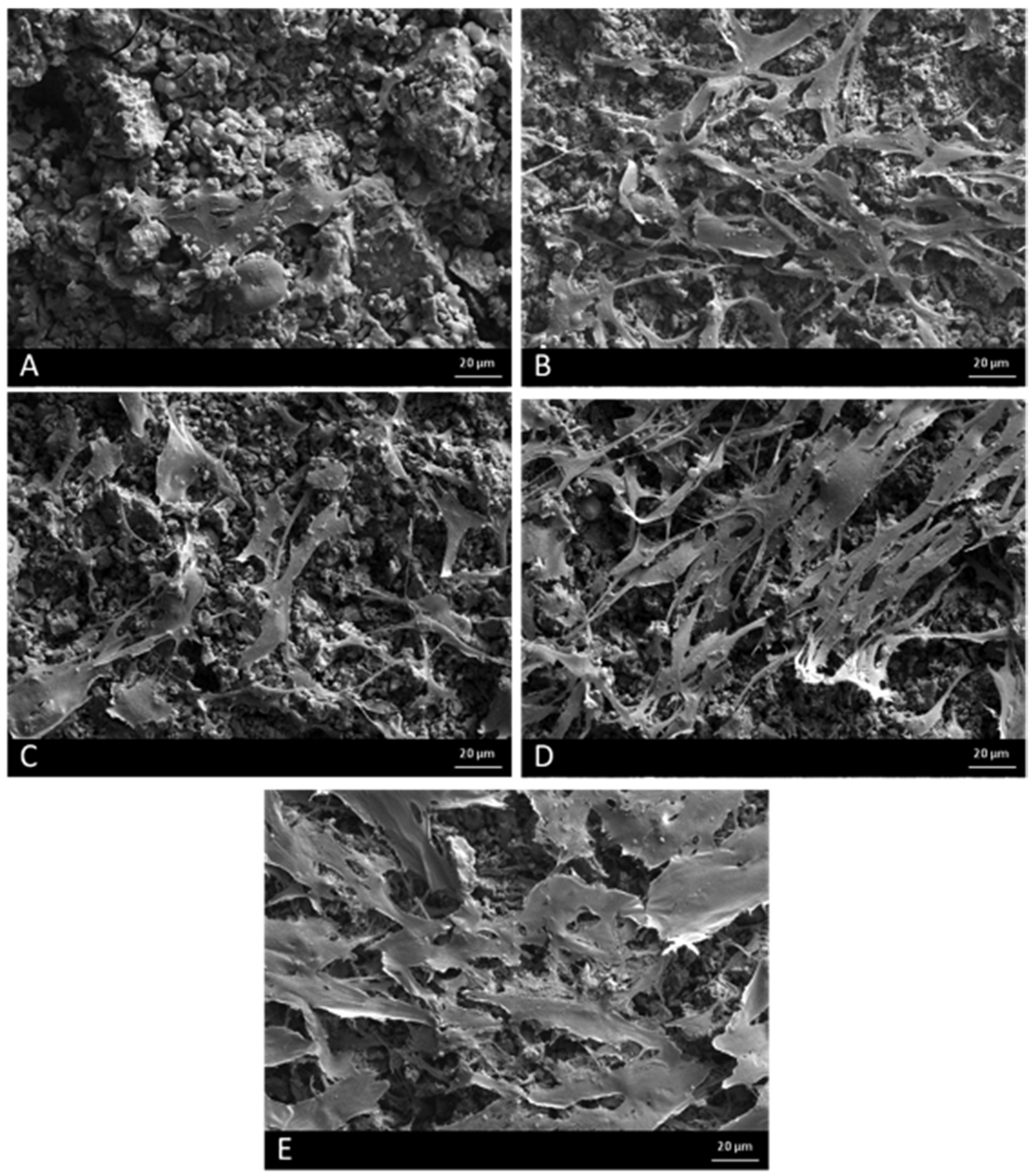 Applsci 08 00046 g001