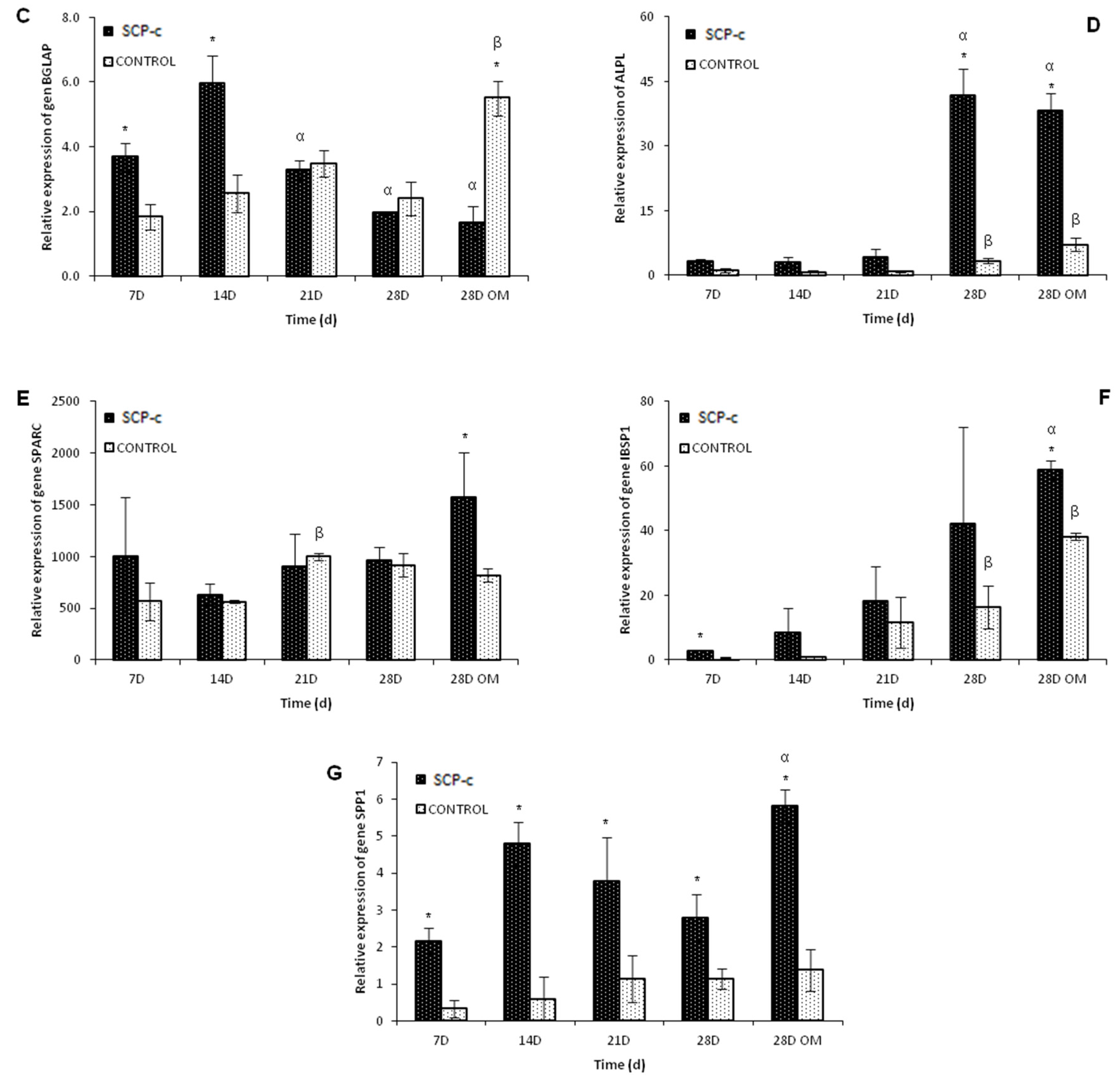 Applied Sciences Free Full Text Impact Of A Porous Si Ca P Monophasic Ceramic On Variation Of Osteogenesis Related Gene Expression Of Adult Human Mesenchymal Stem Cells Html Applied Sciences Free Full Text Impact Of A Porous Si Ca P Monophasic Ceramic On Variation Of Osteogenesis Related Gene Expression Of Adult Human Mesenchymal Stem Cells Html