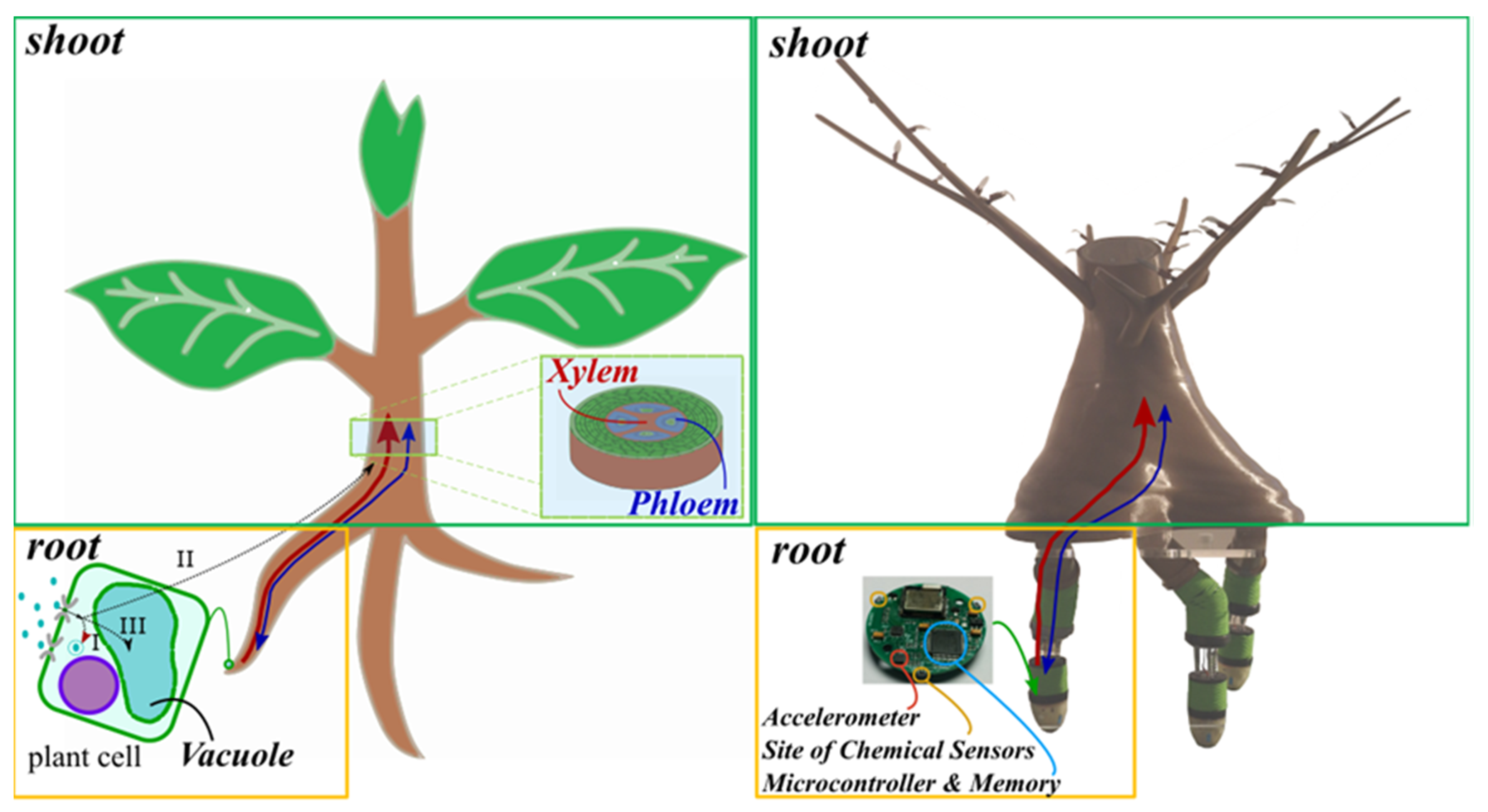 Applsci 08 00047 g001