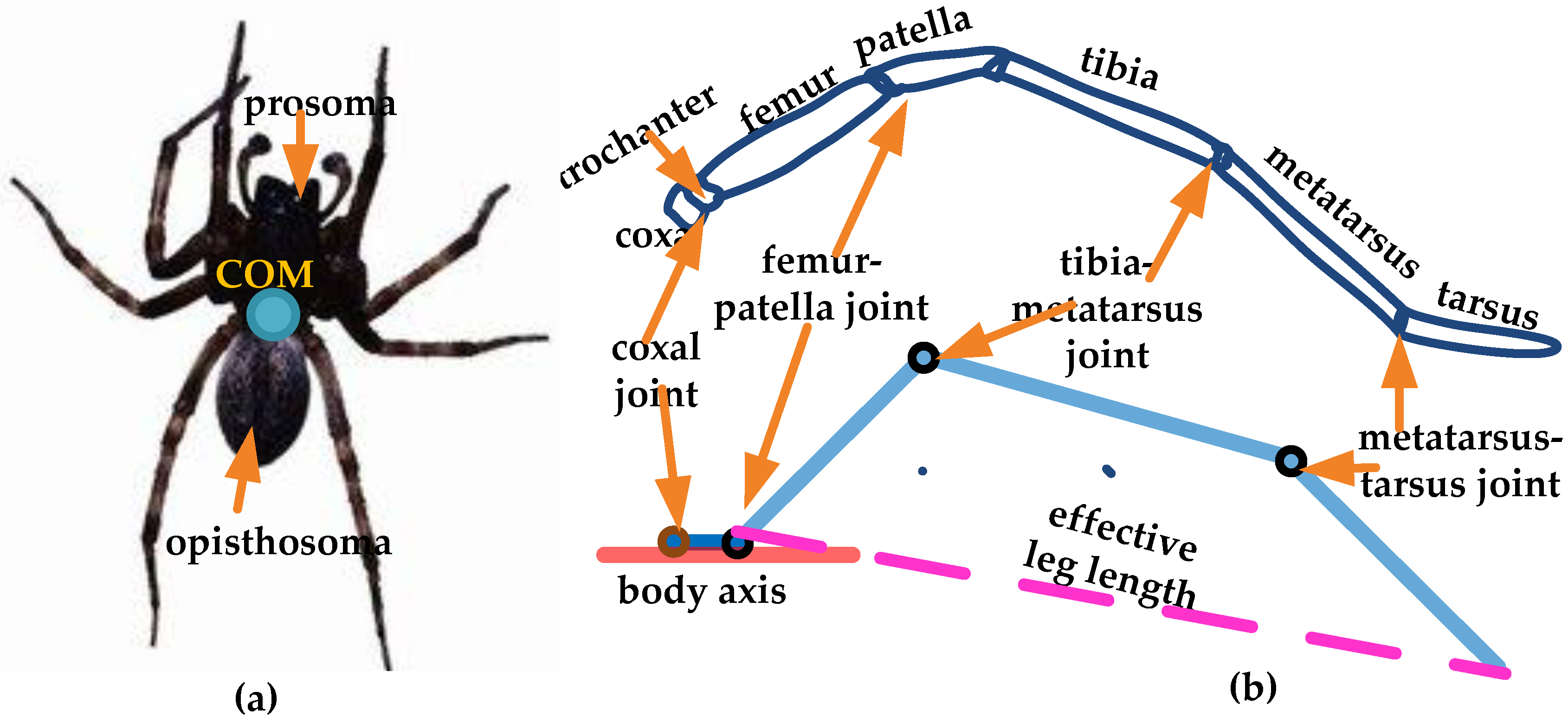 Applsci 08 00051 g001 550