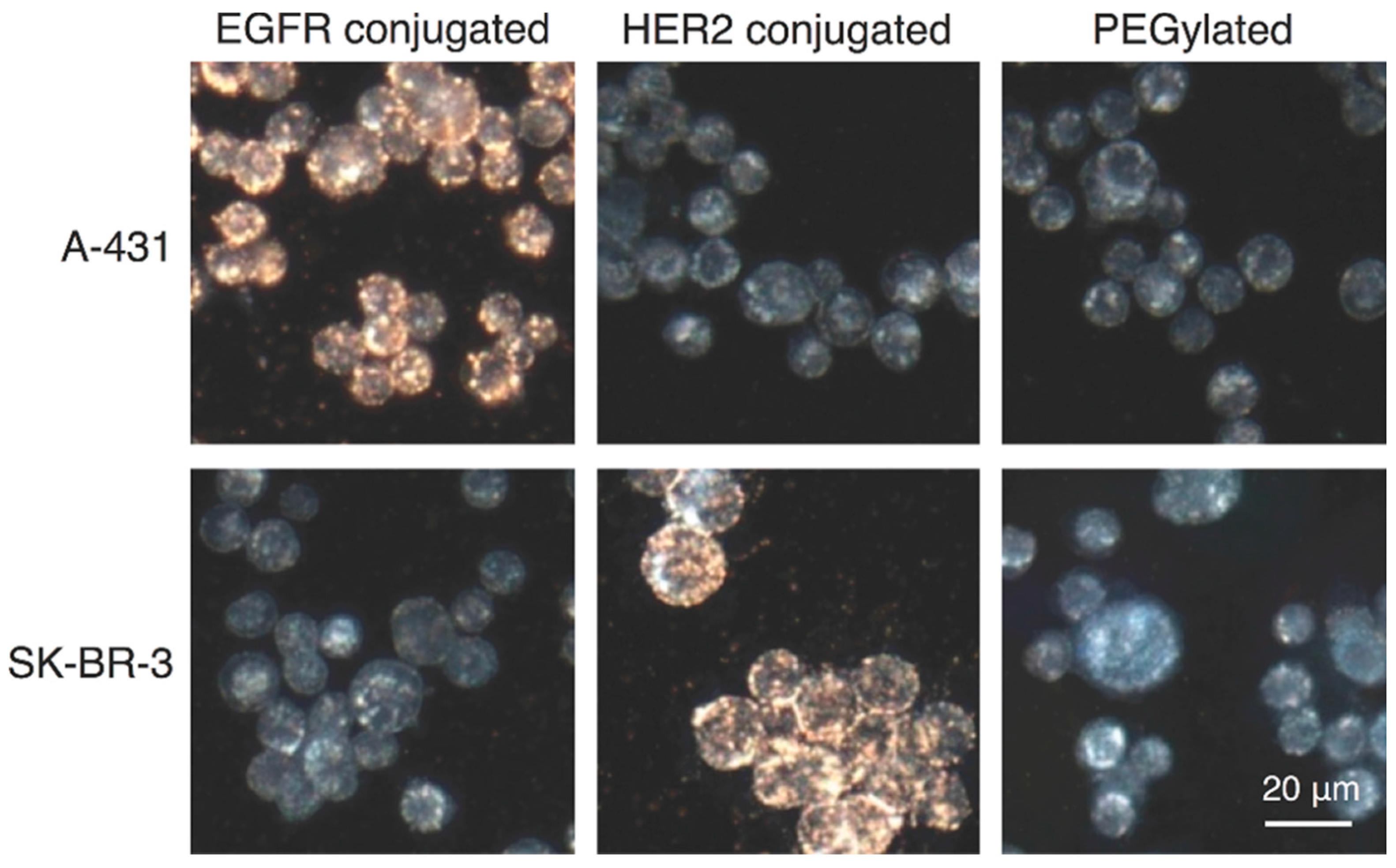 Applsci 08 00097 g009