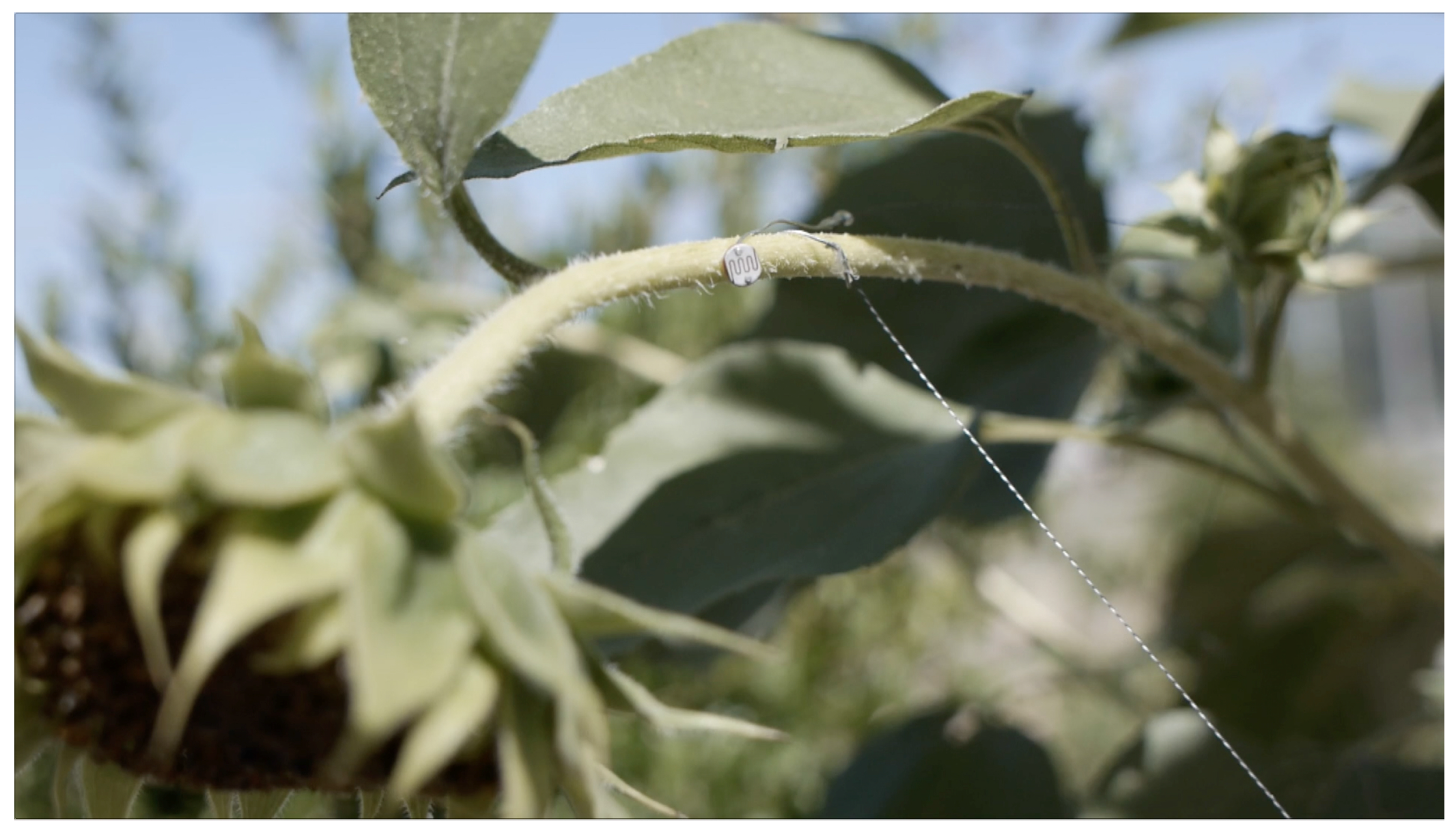 Applsci 08 00111 g007