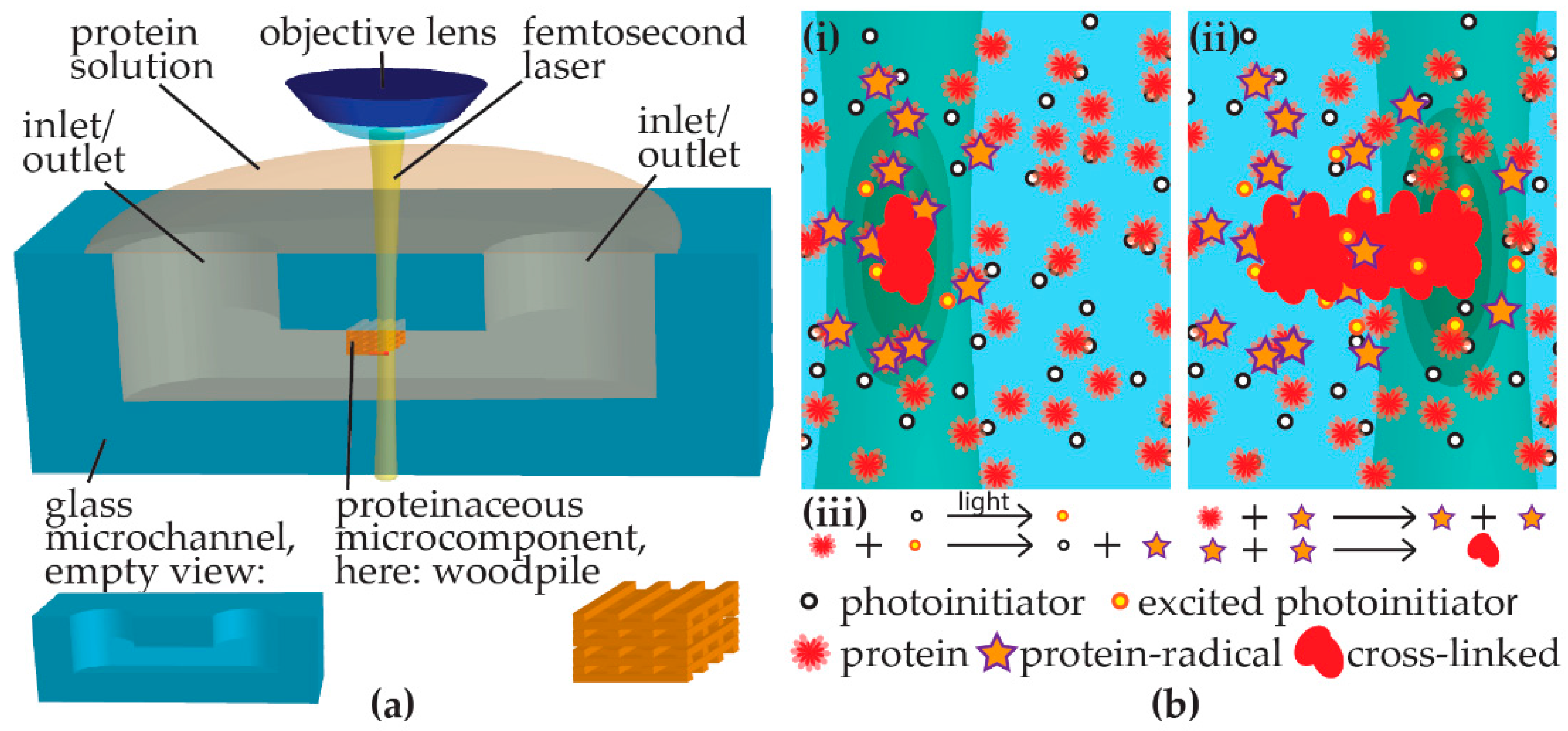Applsci 08 00147 g001 550
