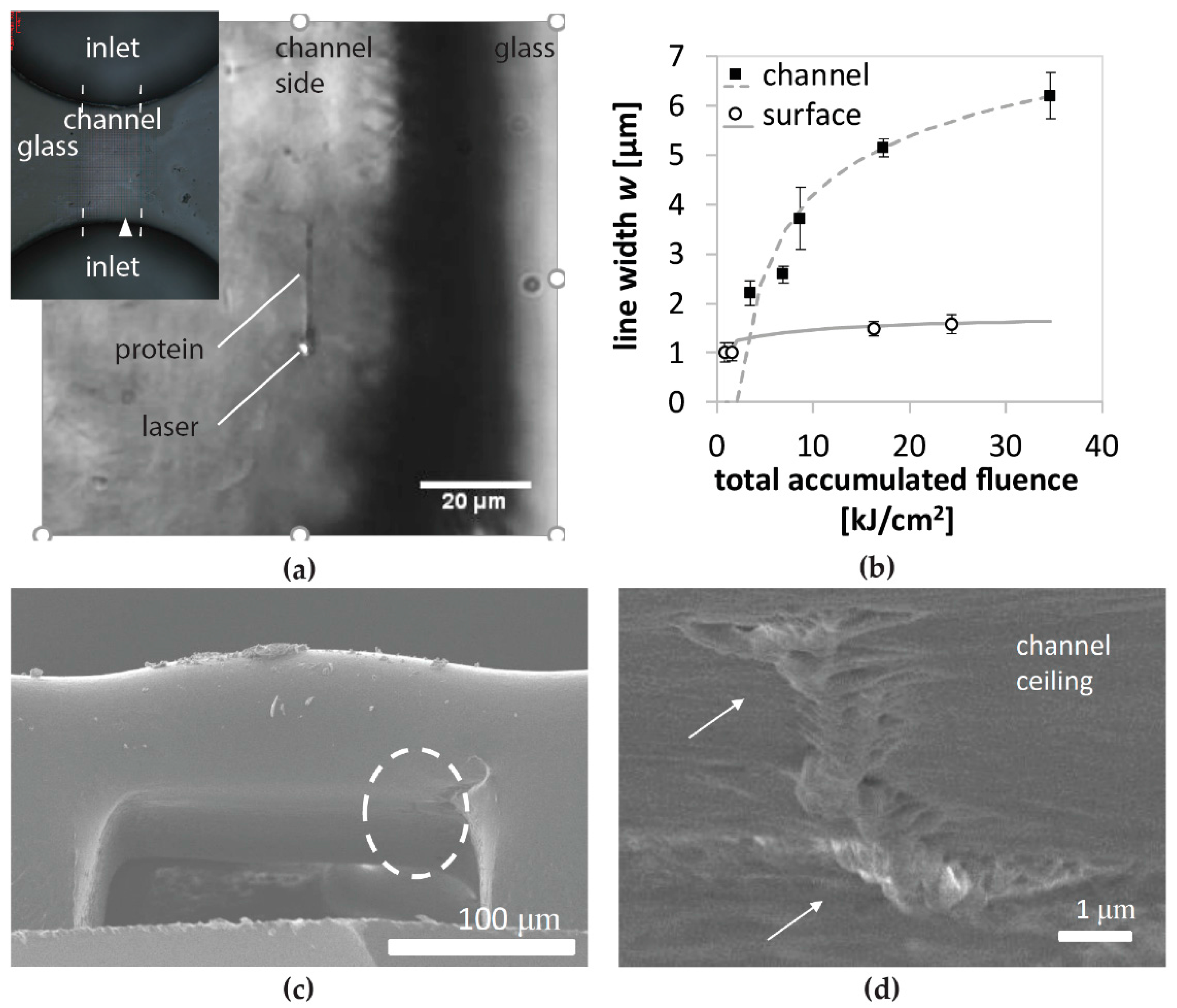 Applsci 08 00147 g002 550