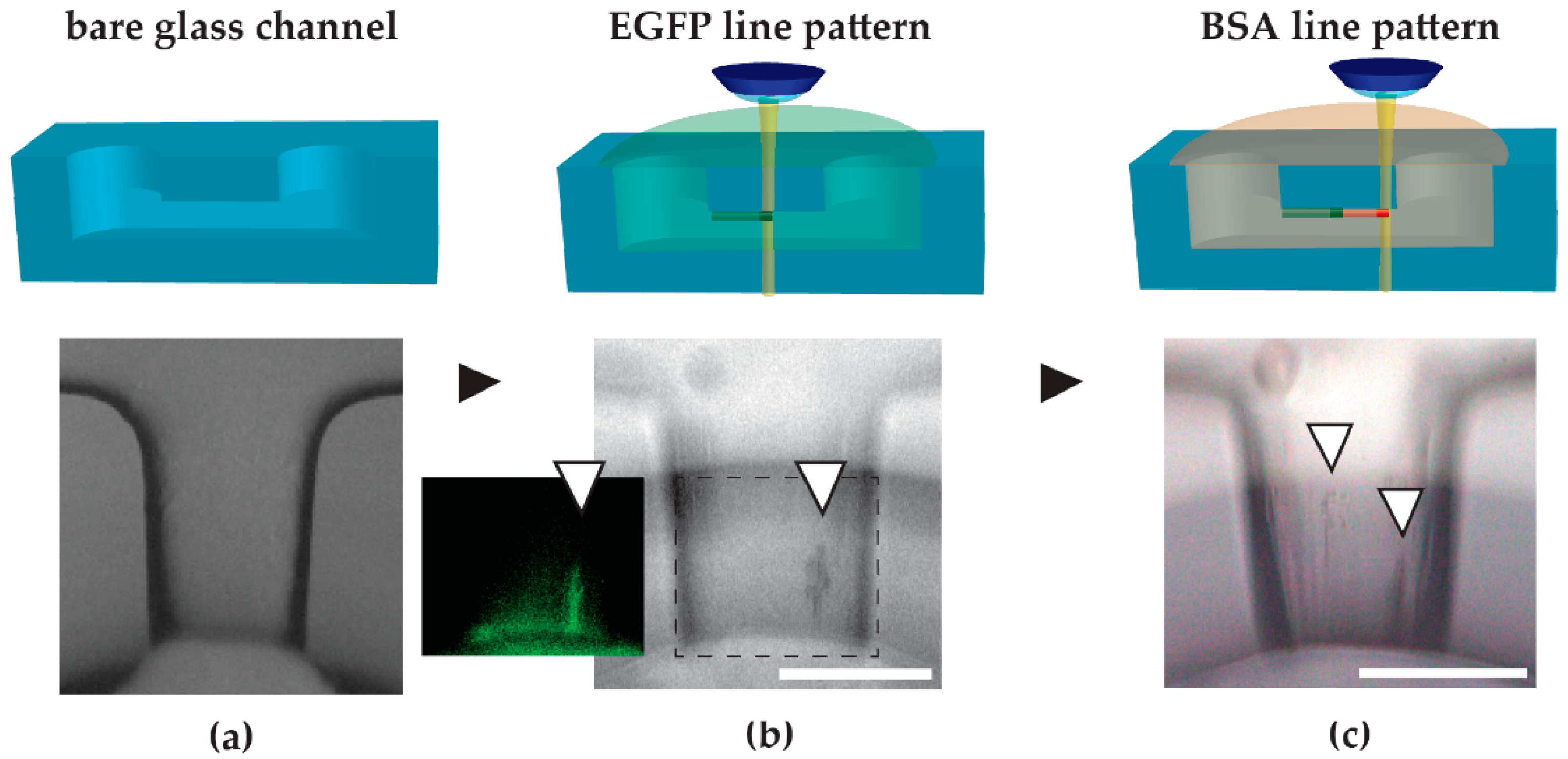 Applsci 08 00147 g003 550
