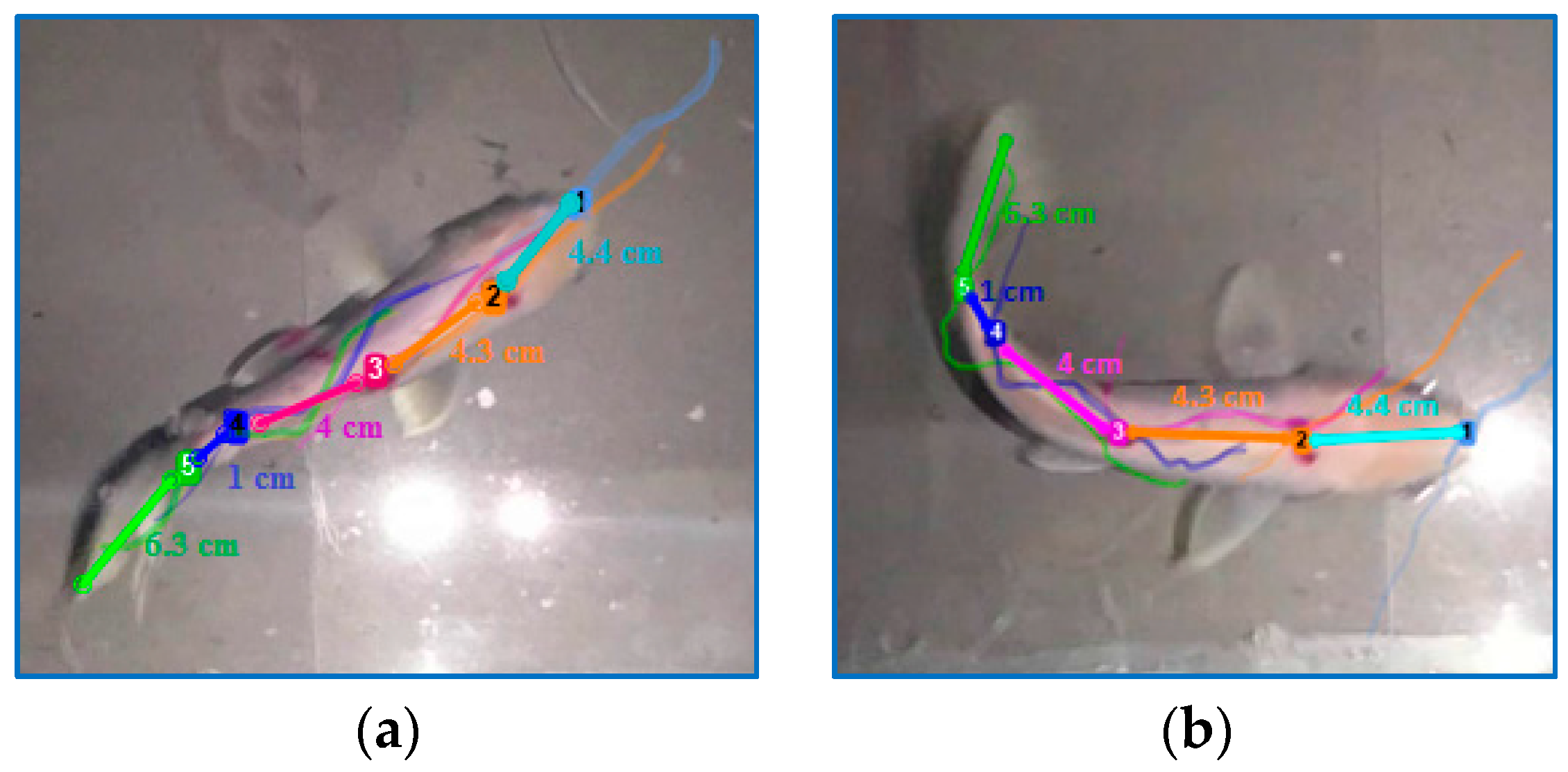 Applsci 08 00180 g002