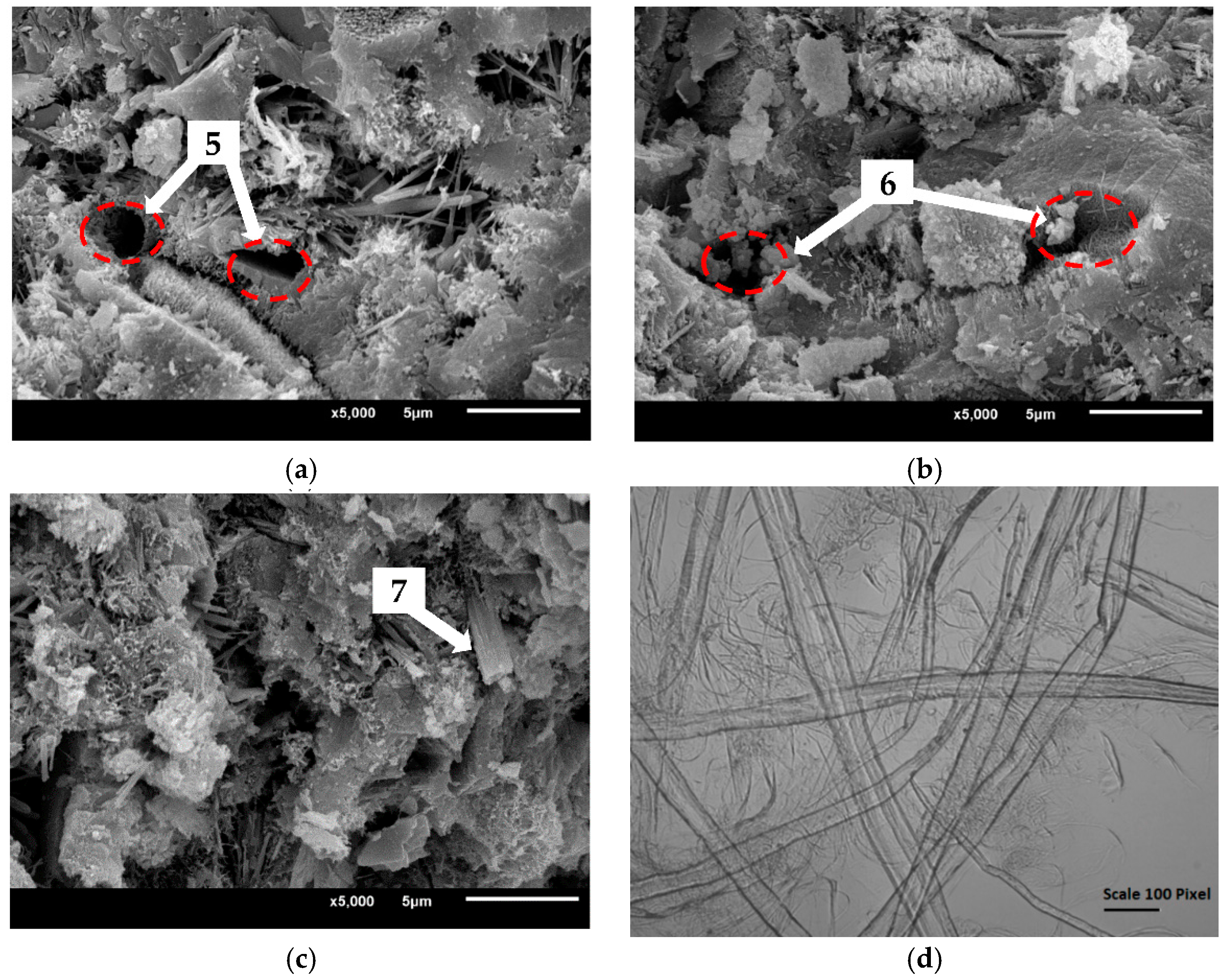 Applsci 08 00190 g013 Applsci 08 00190 g013