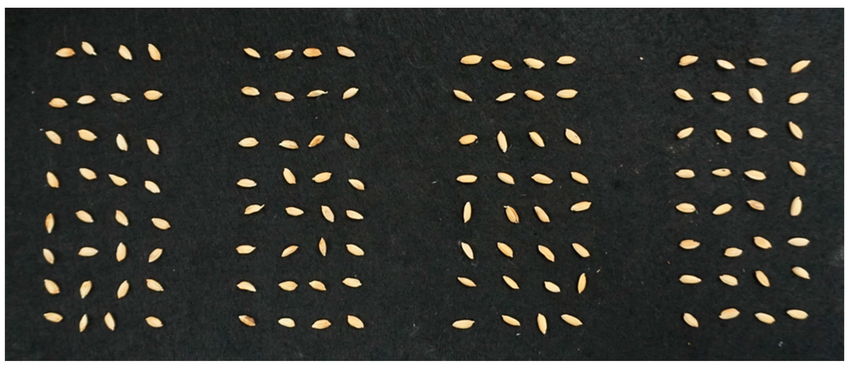 Applsci 08 00212 g001 550