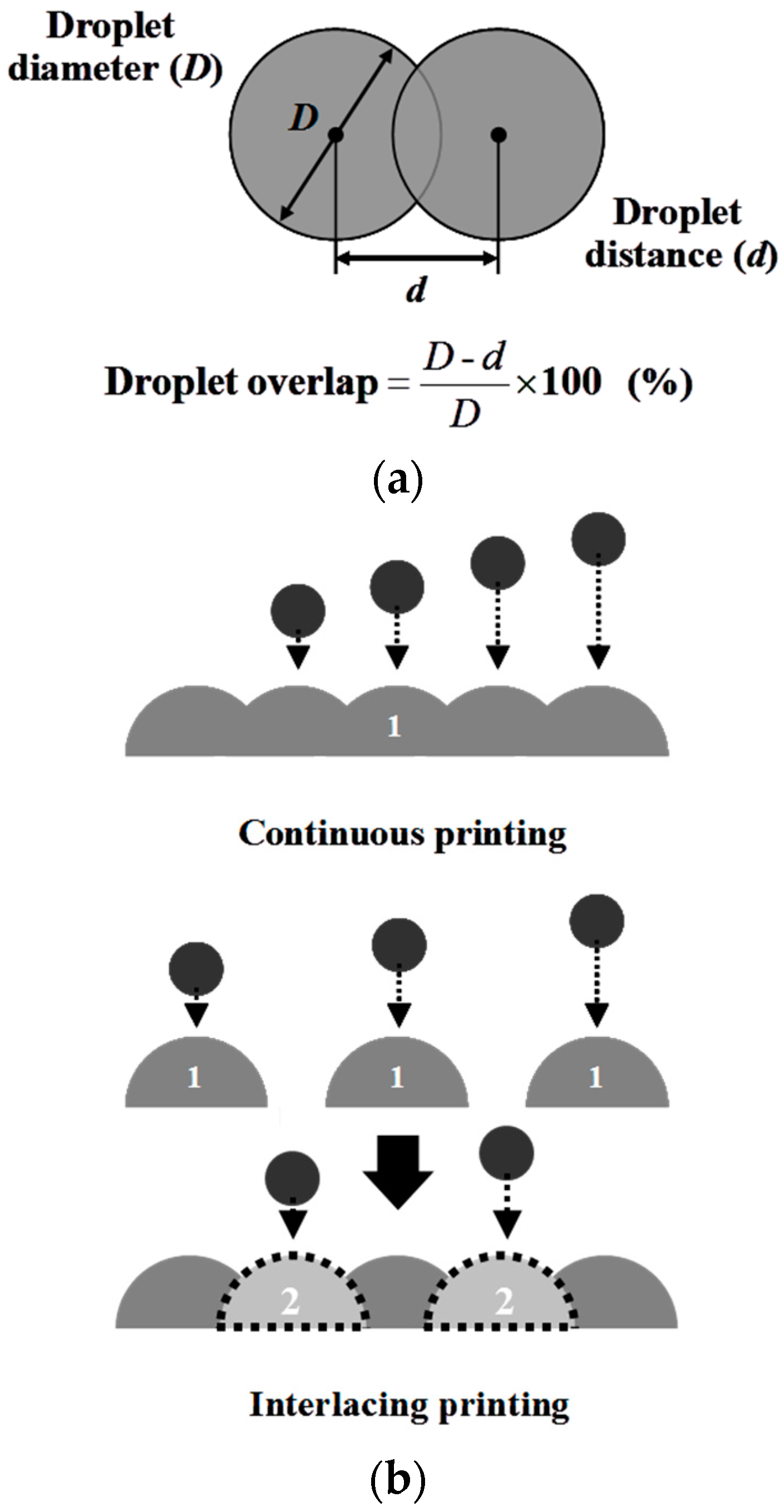 Applied Sciences Free FullText Formation and Characterization of