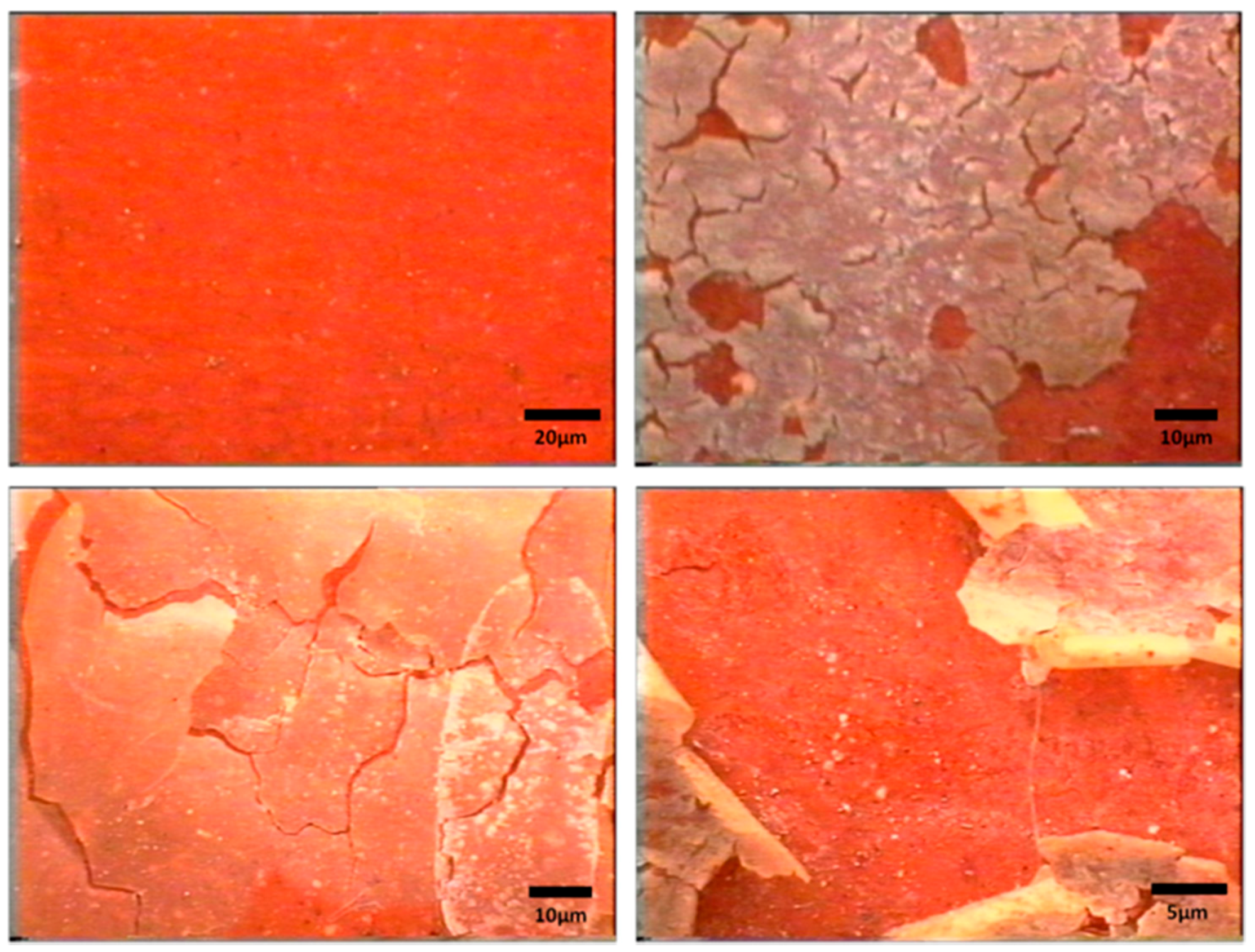 Applsci 08 00284 g020 550