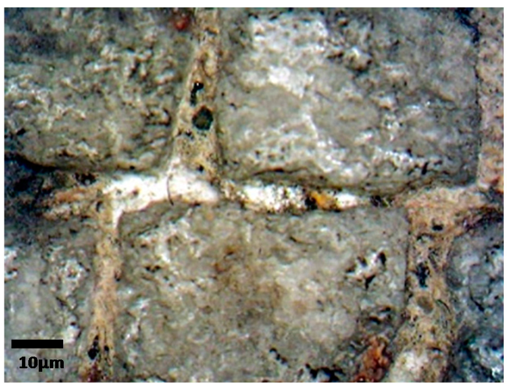 Applsci 08 00284 g025 550