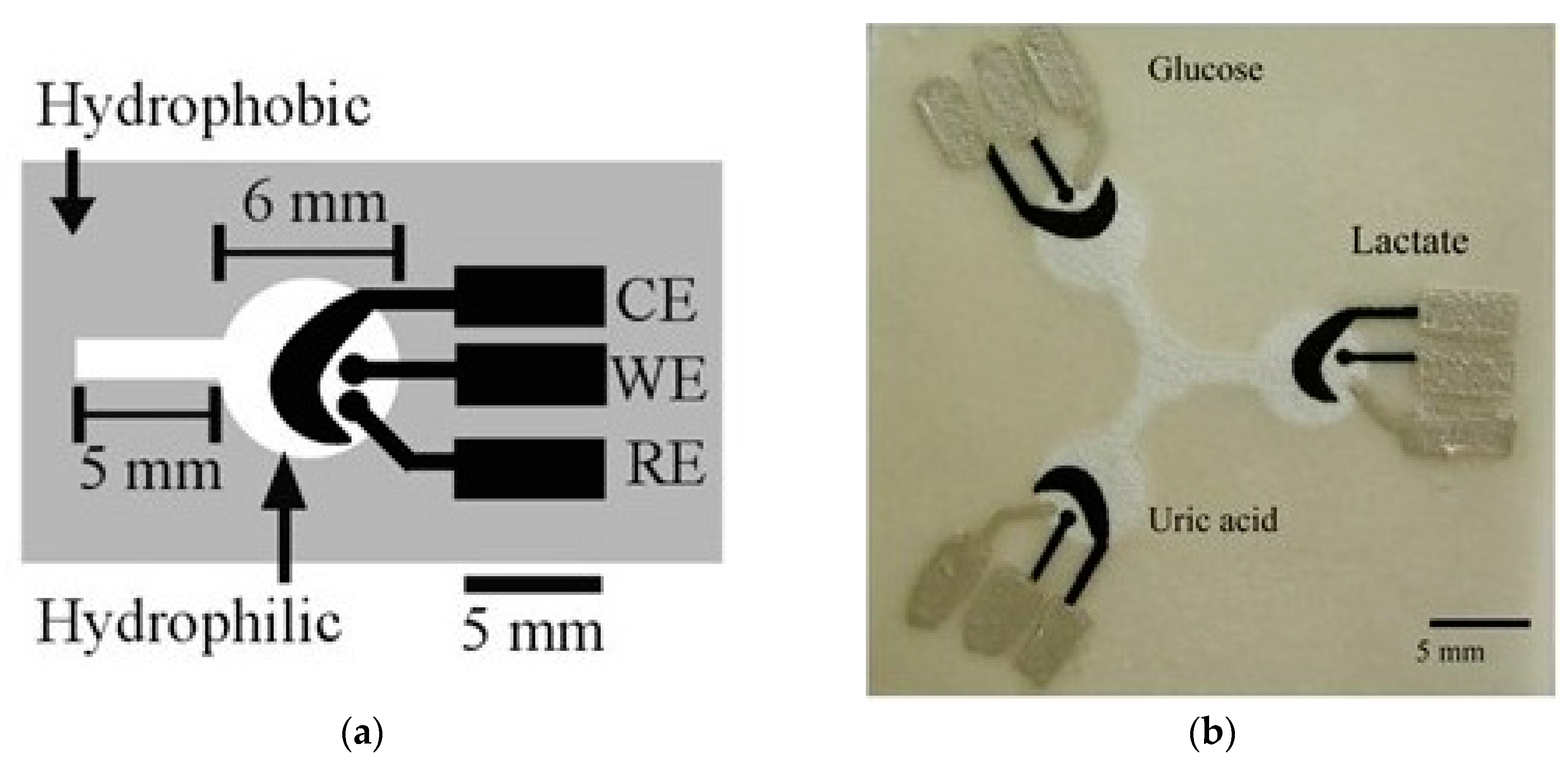 Electrochemical sensors Electrochemical sensors