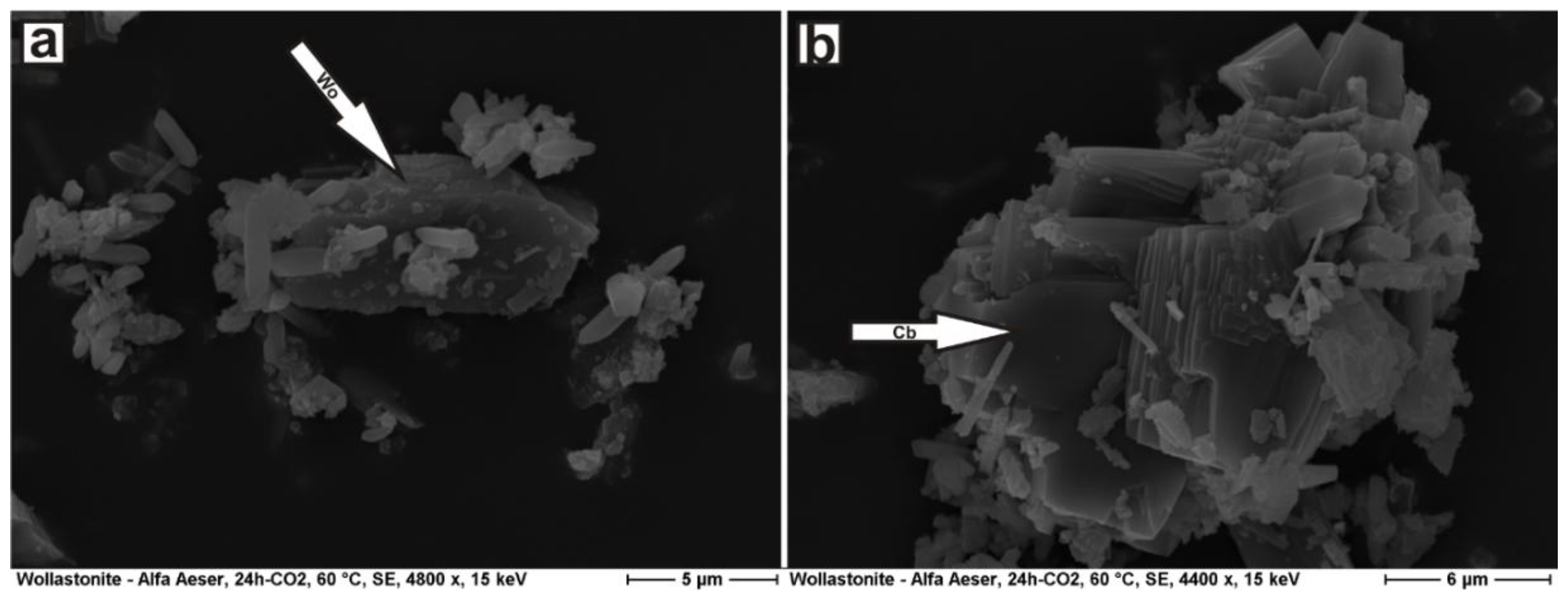 Applsci 08 00304 g002
