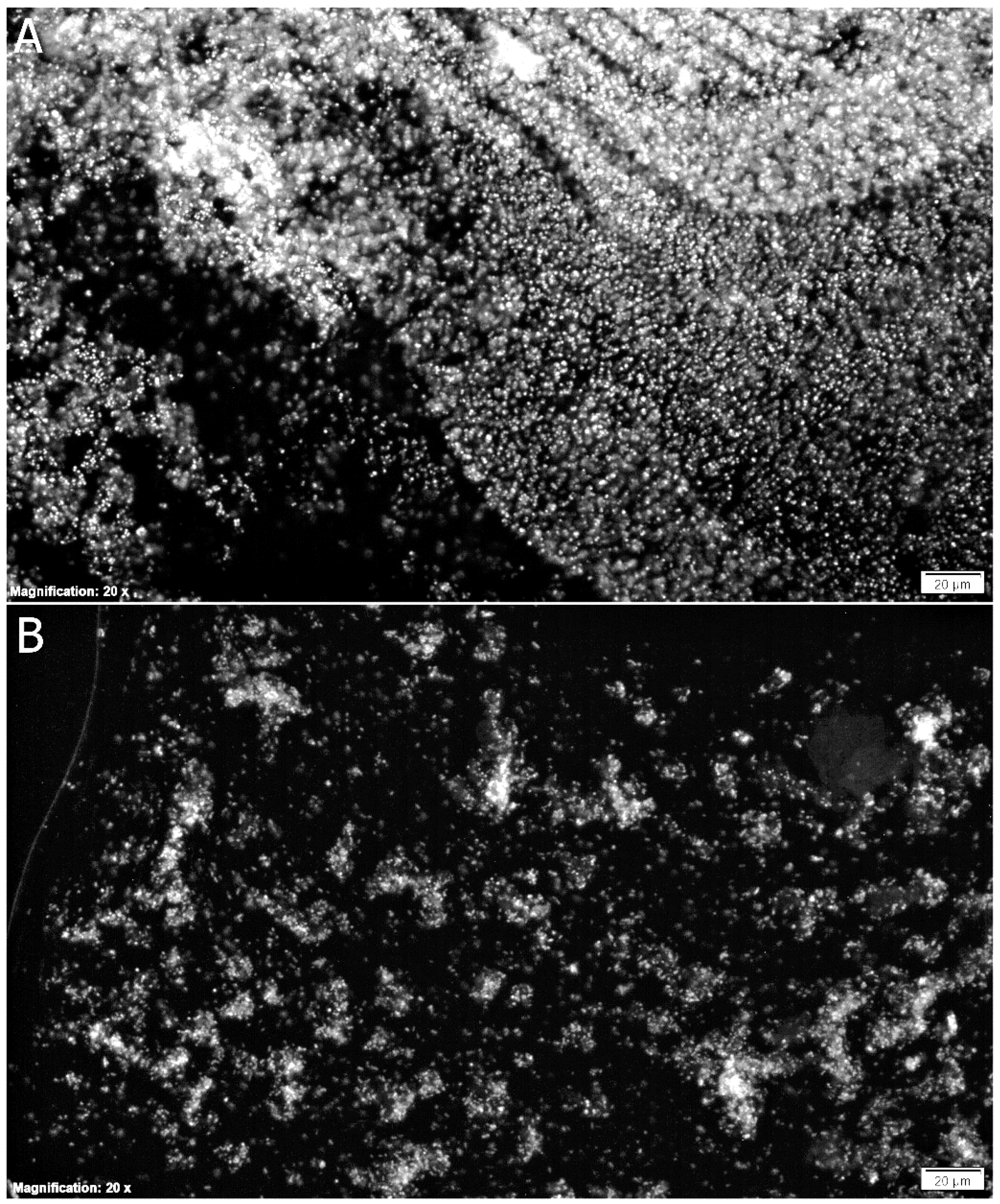 Applsci 08 00368 g004