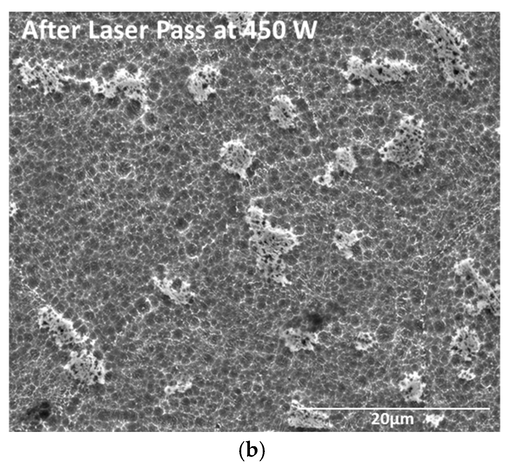 Applsci 08 00393 g003b