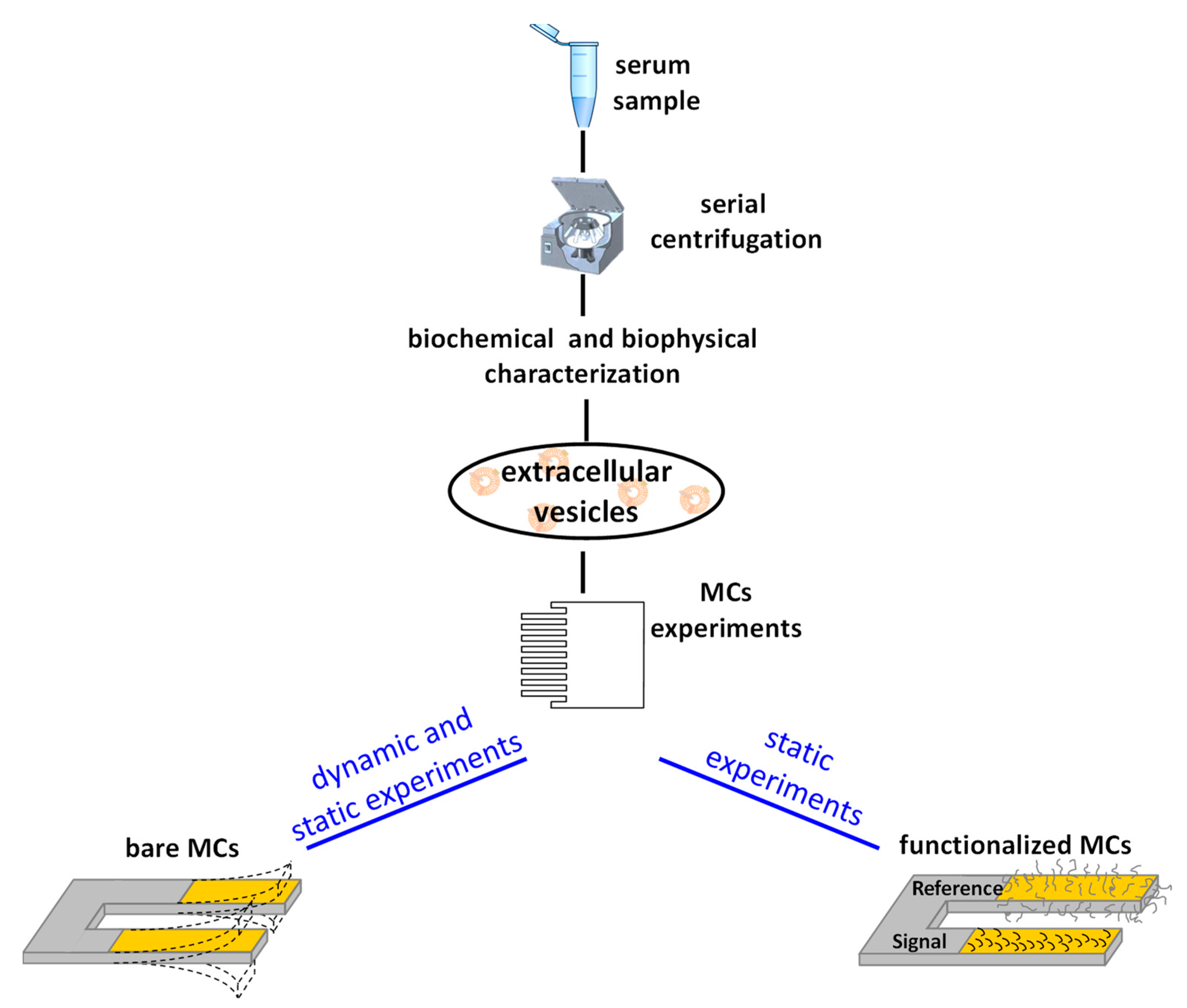 Applsci 08 00404 g001