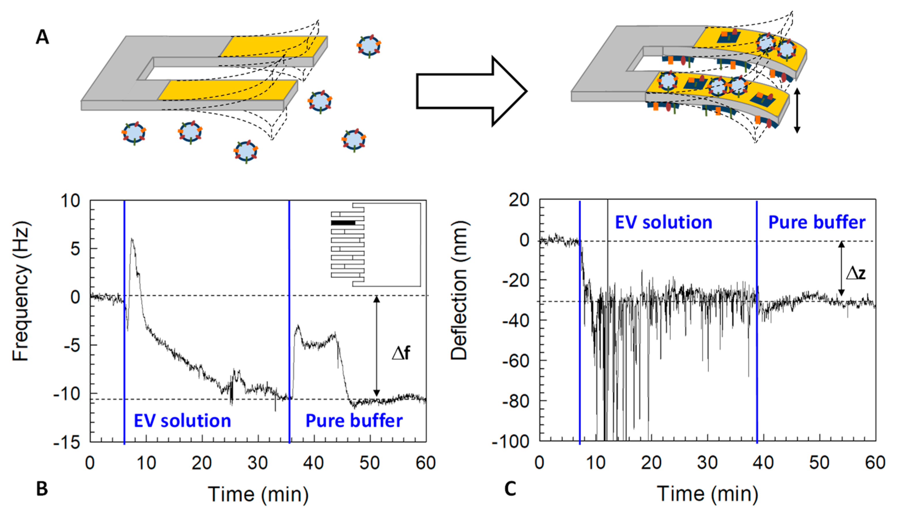 Applsci 08 00404 g004