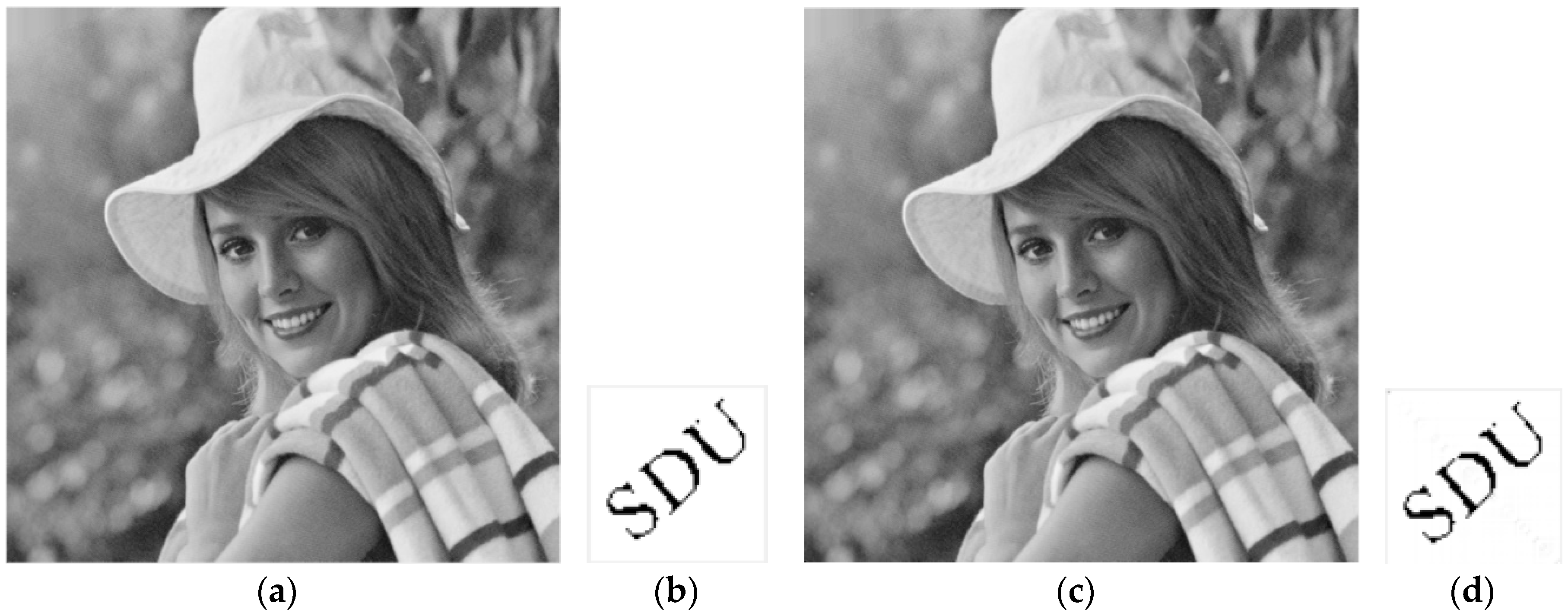 Applsci 08 00410 g009 550