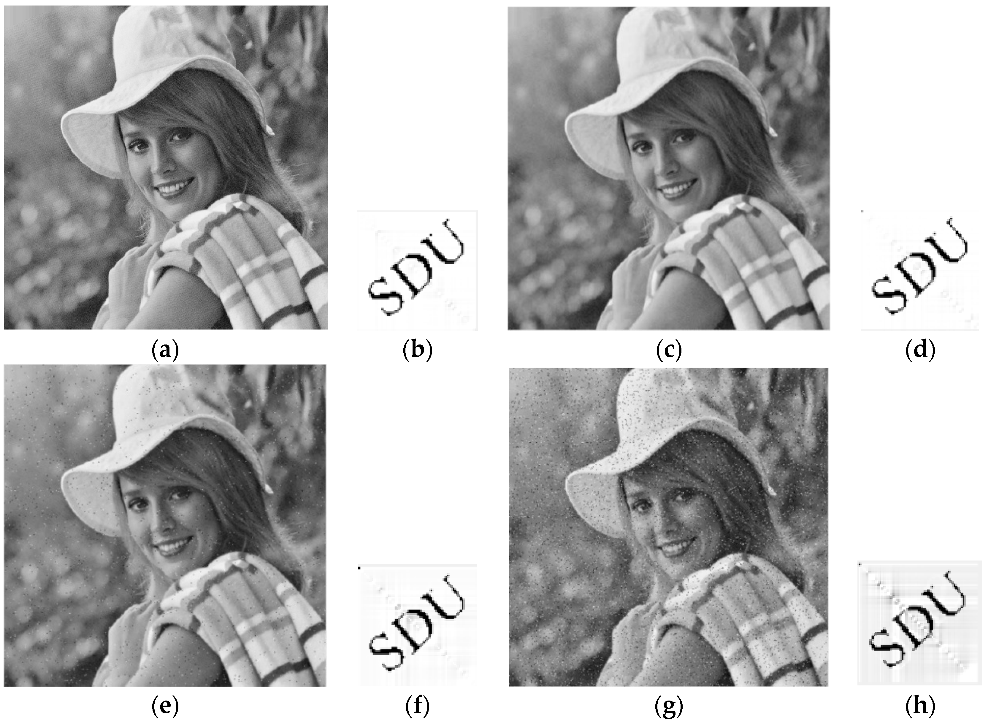 Applsci 08 00410 g010a 550