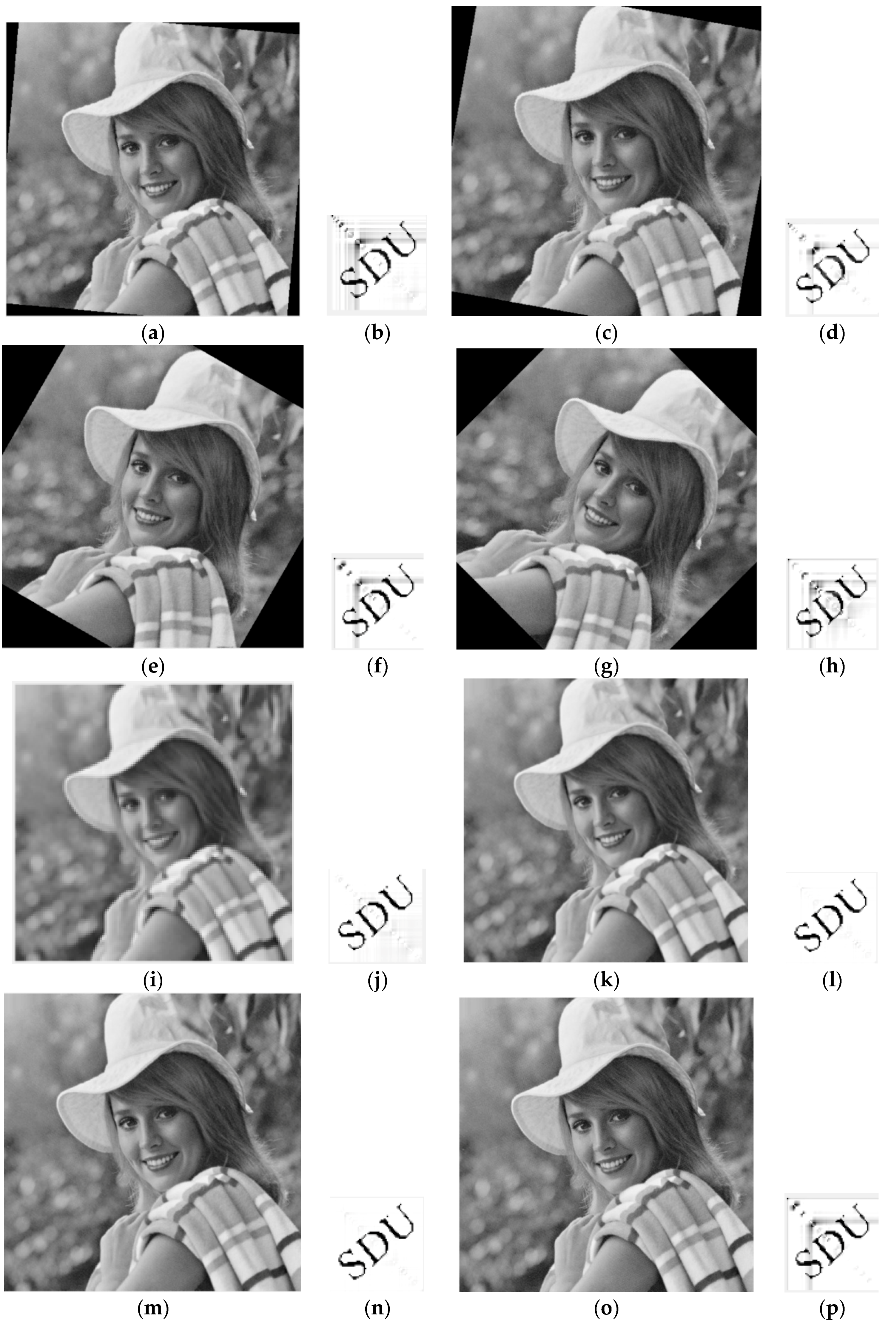 Applsci 08 00410 g011a 550