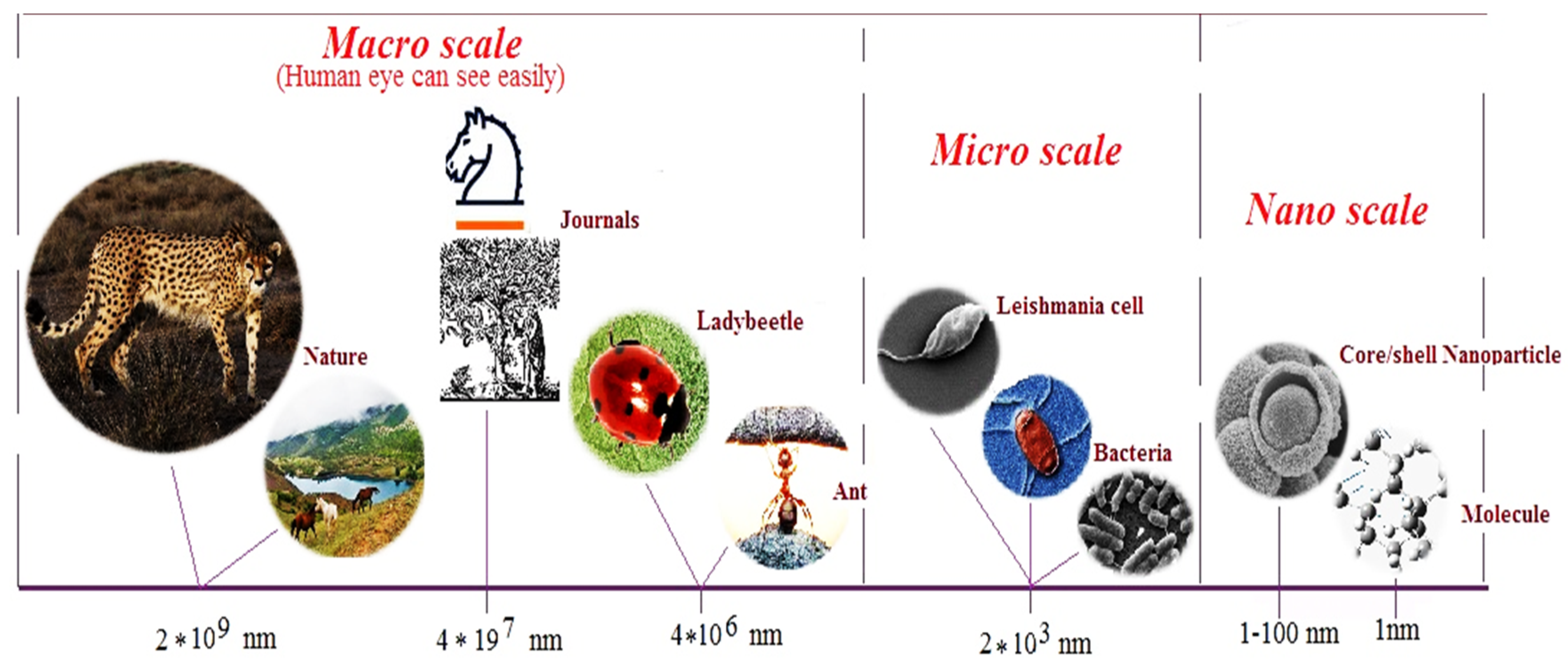 Representation of macro-, micro-and nano-scales and the