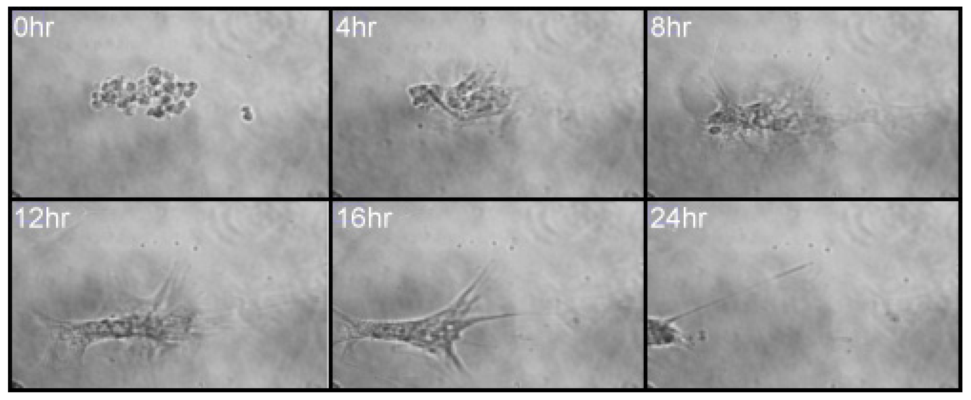 Applsci 08 00412 g002 Applsci 08 00412 g002