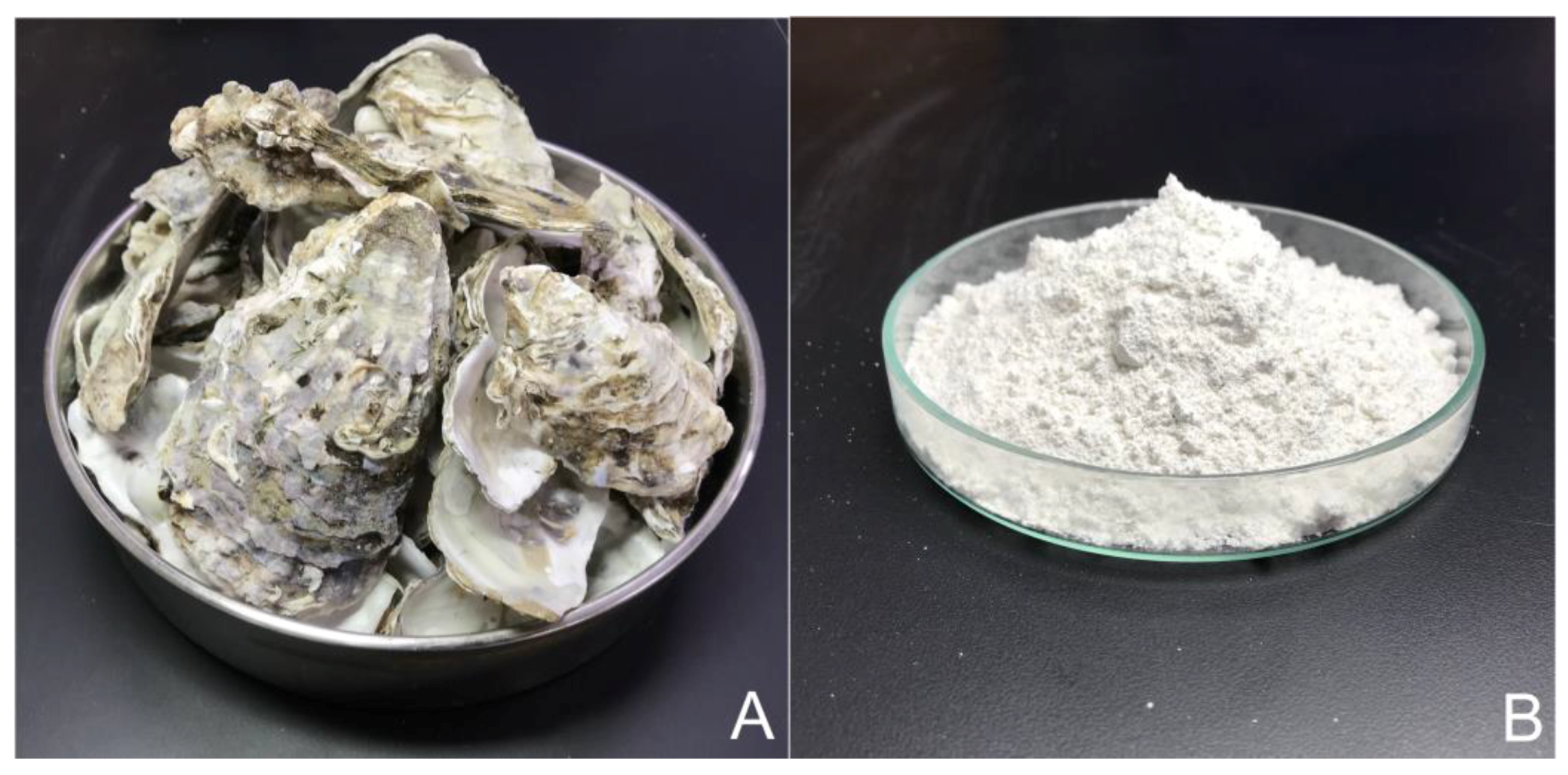 Applied Sciences Free FullText Potential of Waste Oyster Shells as
