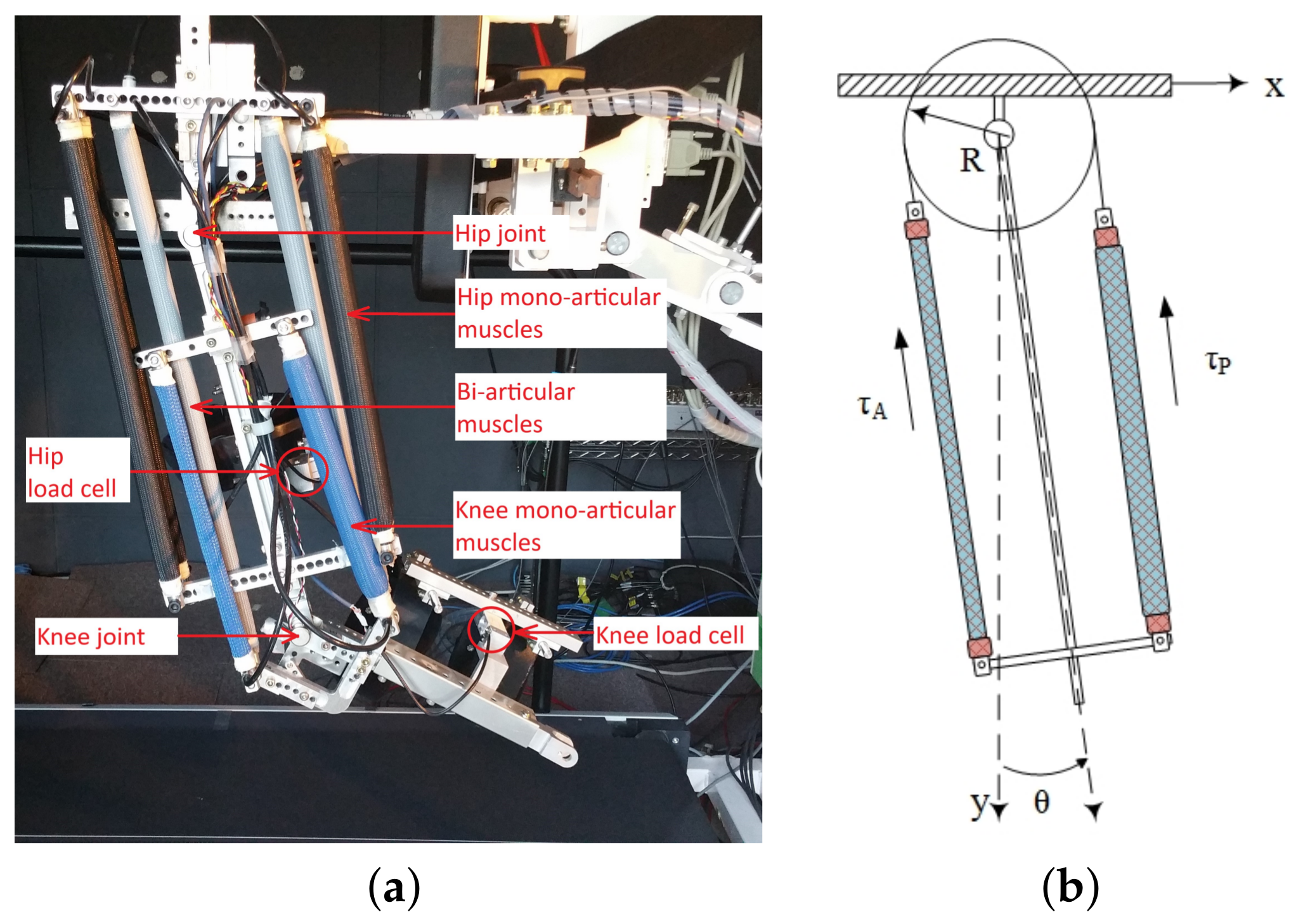 Applsci 08 00499 g002
