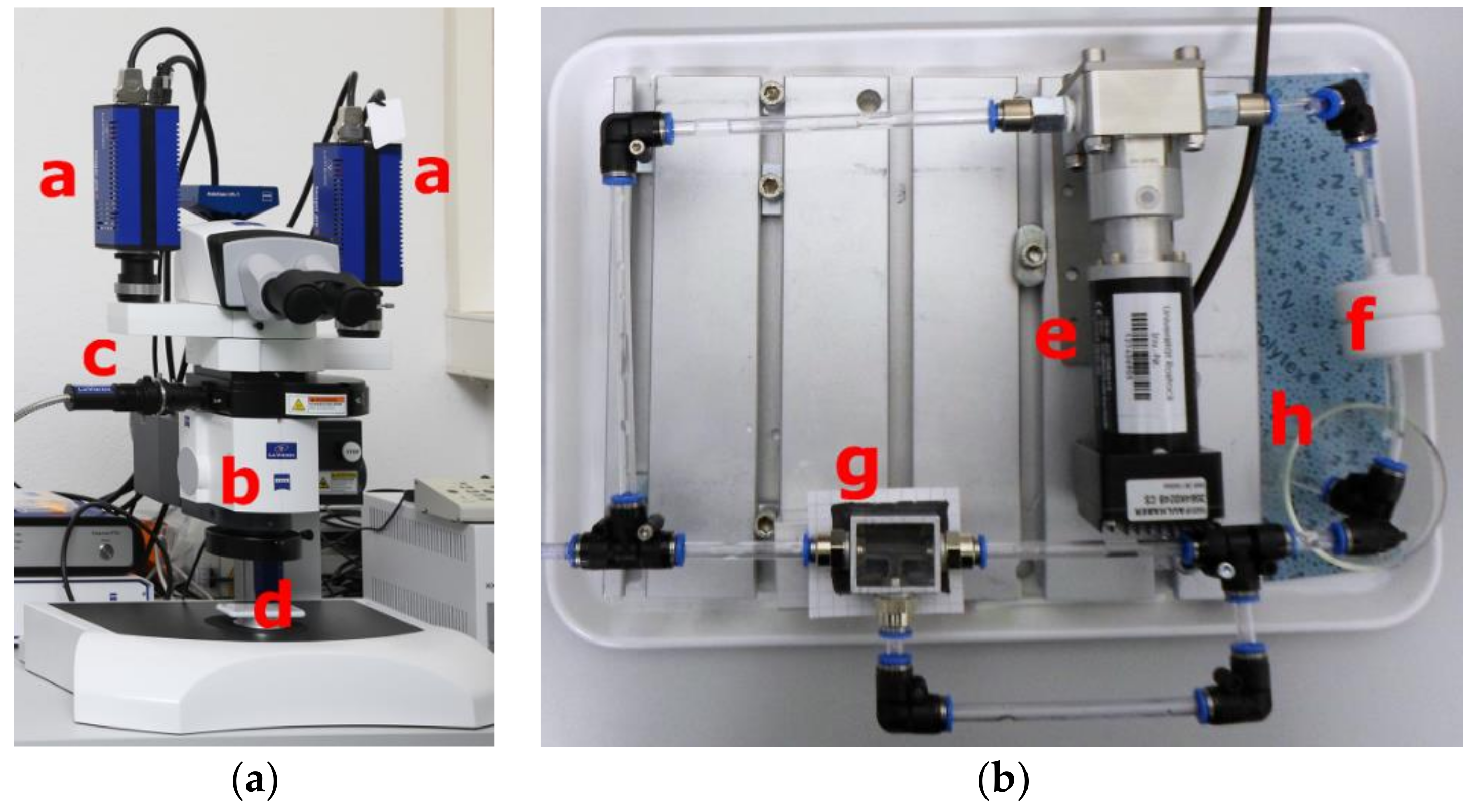 Applsci 08 00512 g002 550