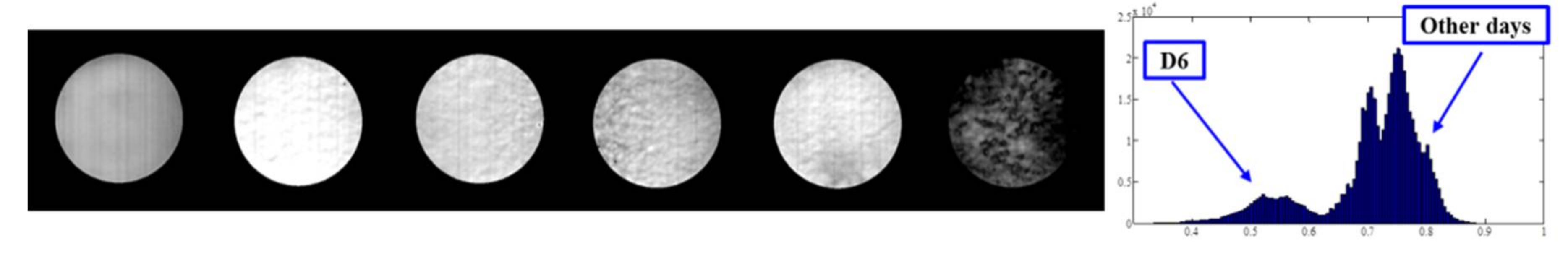 Applsci 08 00513 g004 550