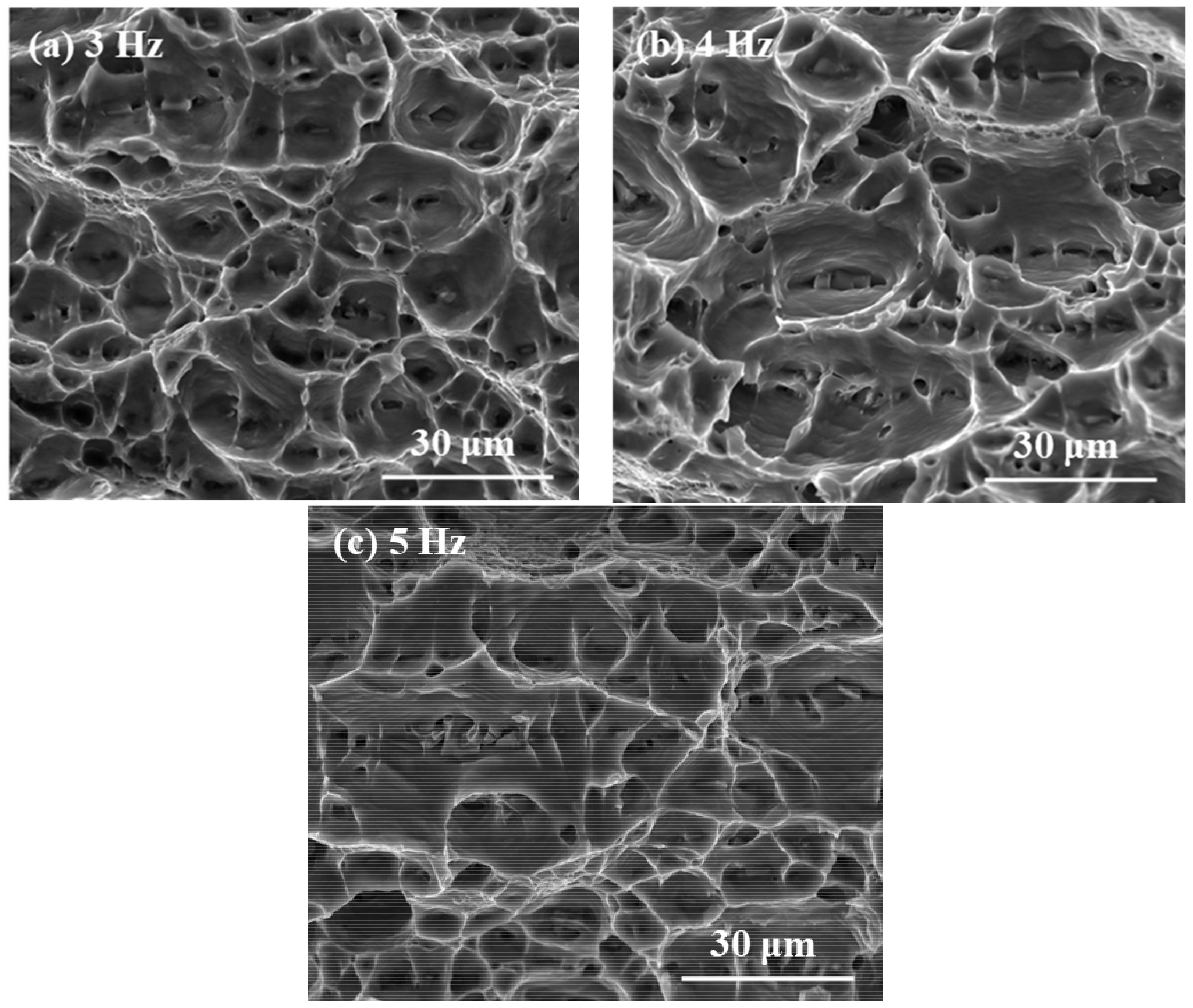 Applsci 08 00540 g011 550