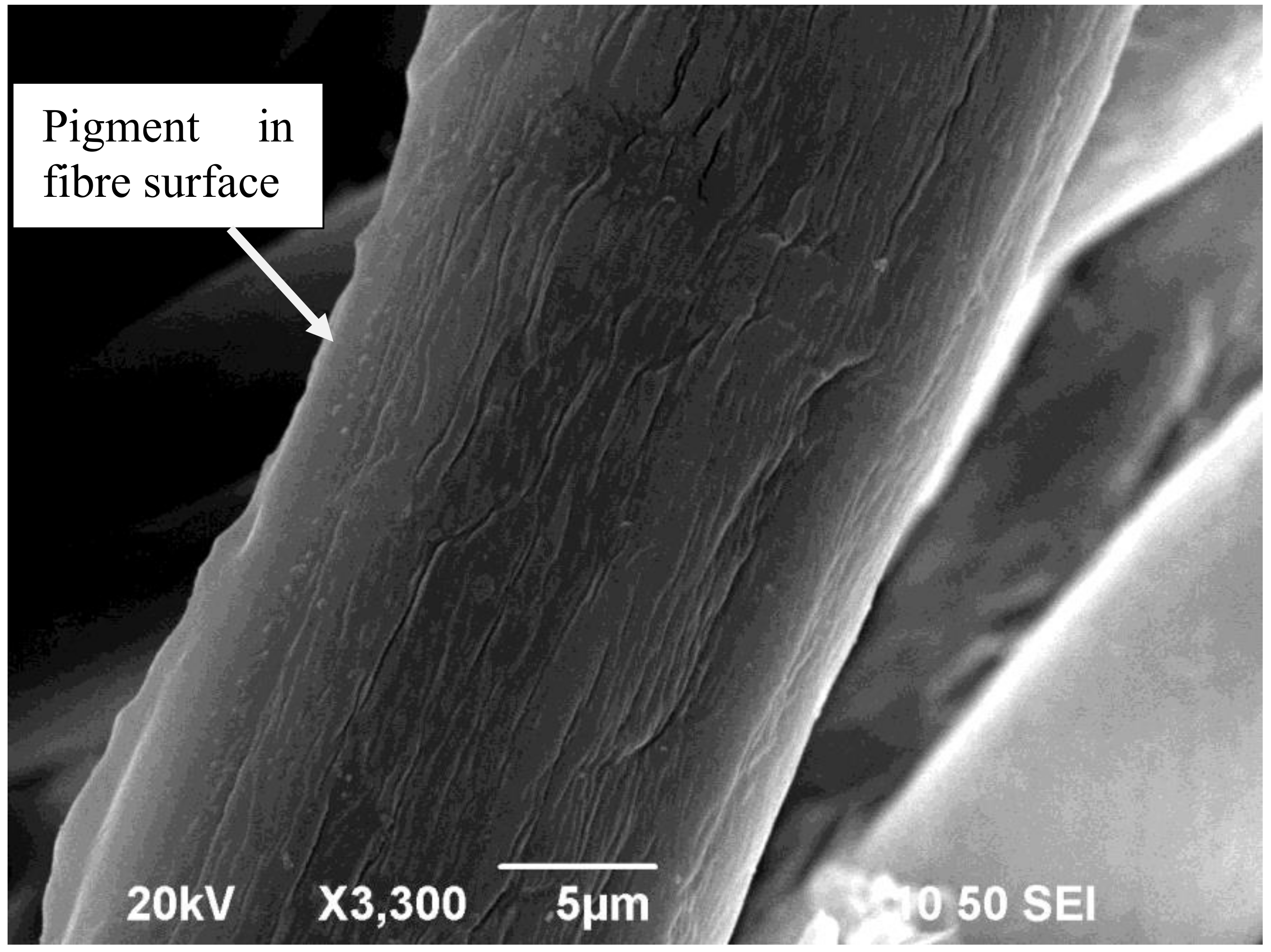 Applsci 08 00552 g005 550