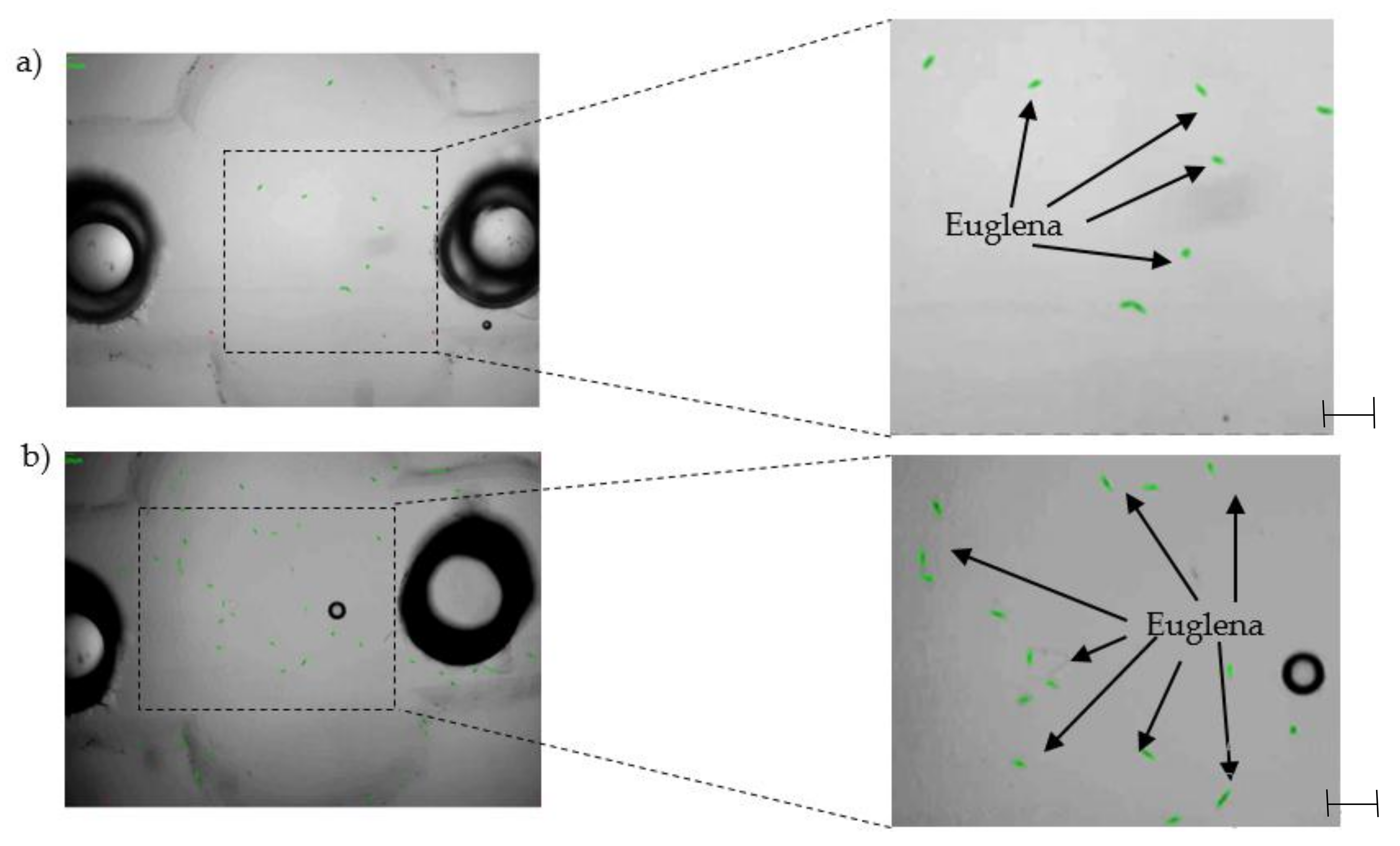 Applsci 08 00579 g008