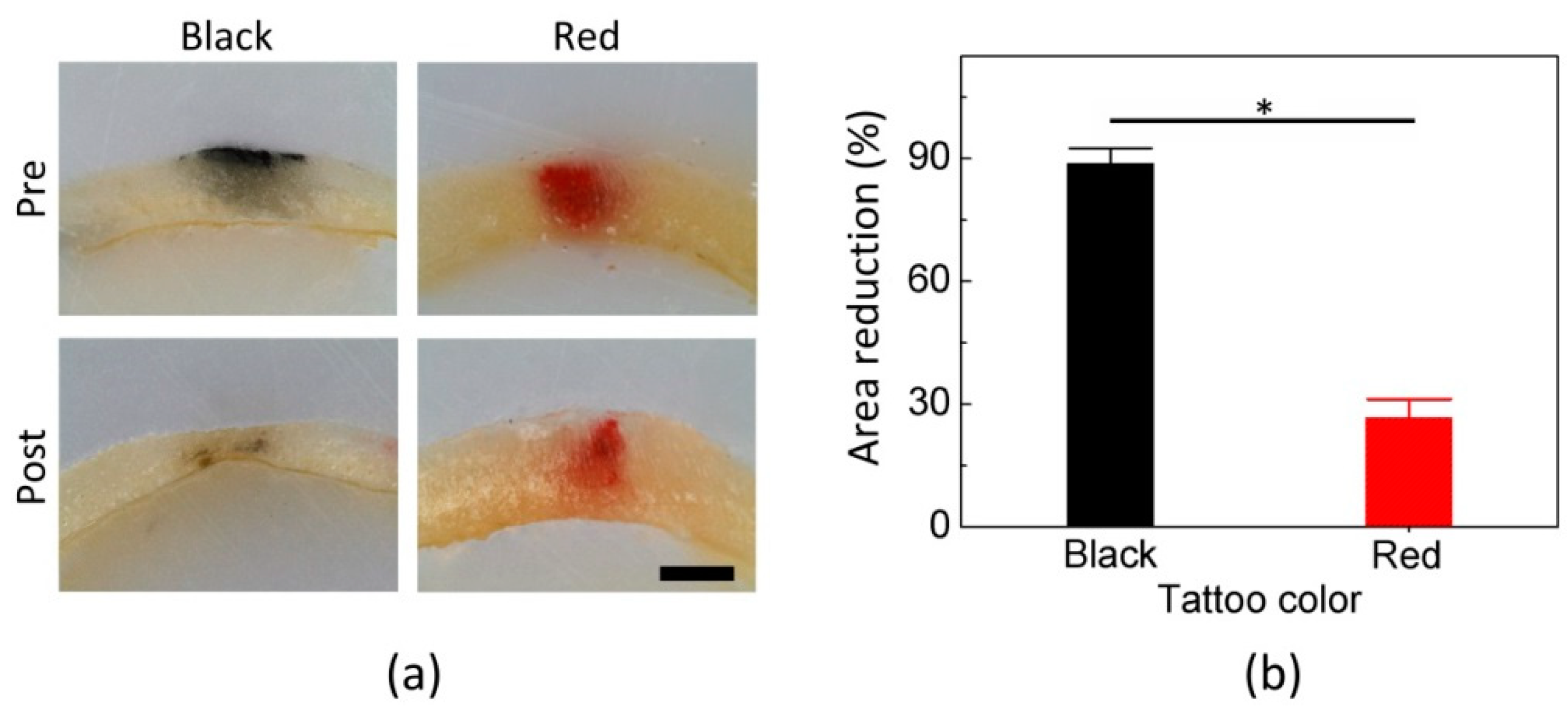 Applsci 08 00661 g005