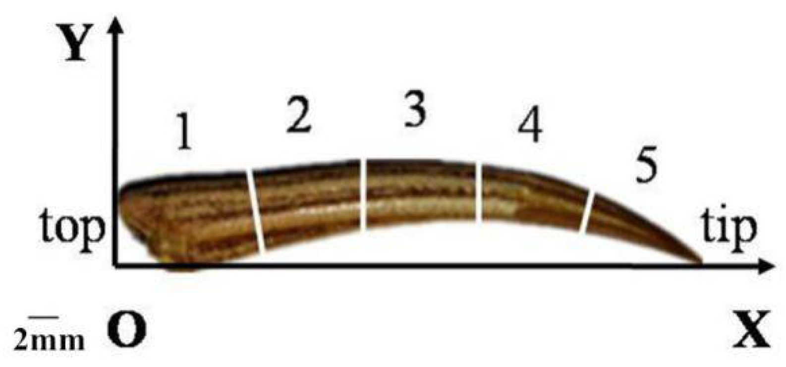 Applsci 08 00674 g002