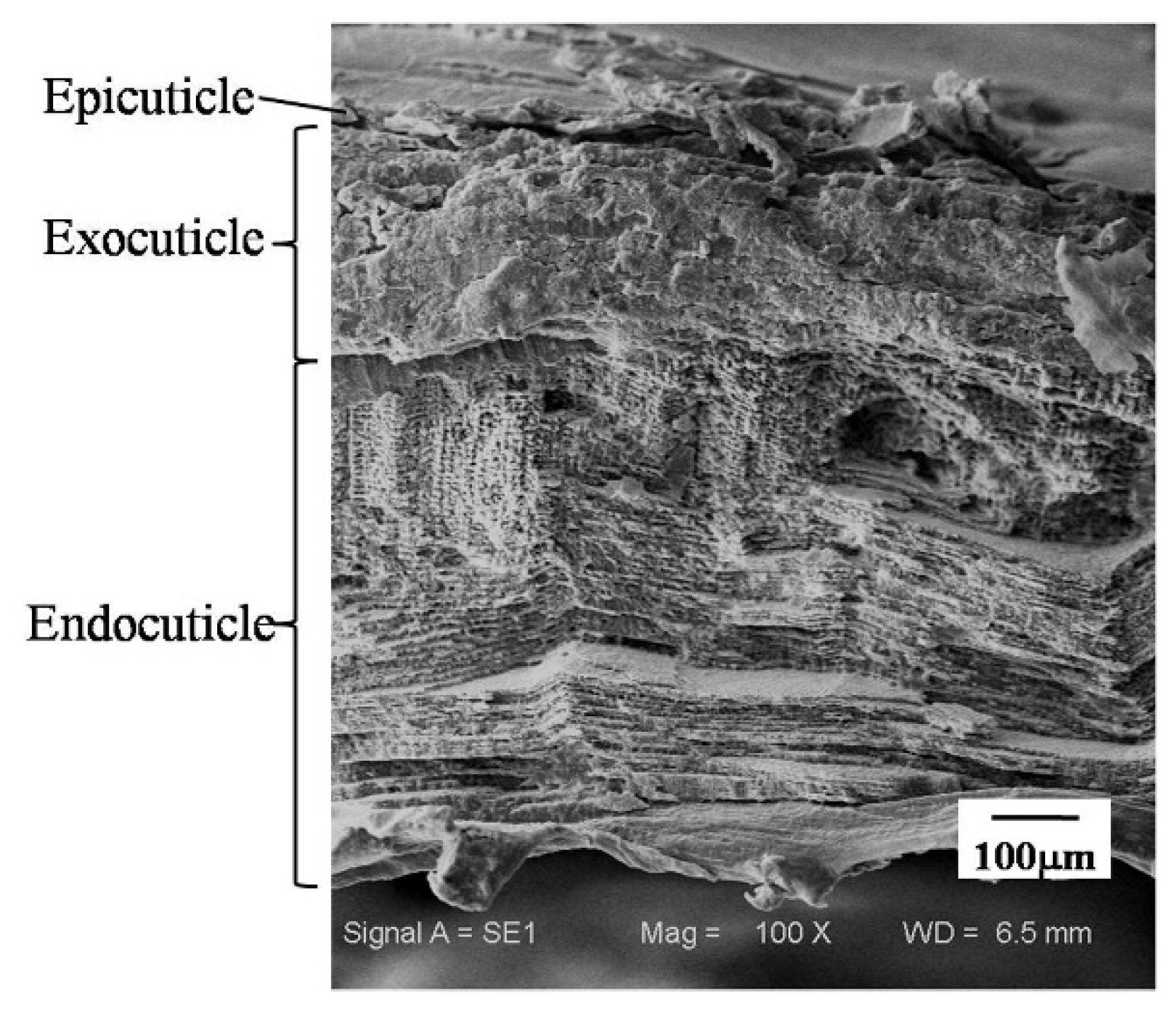 Applsci 08 00674 g003