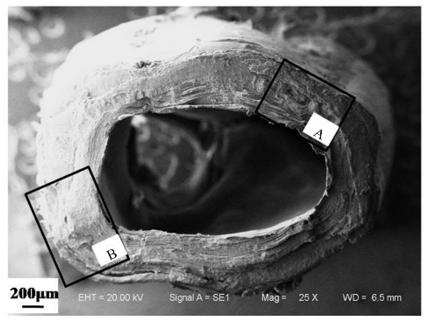 Applsci 08 00674 g005