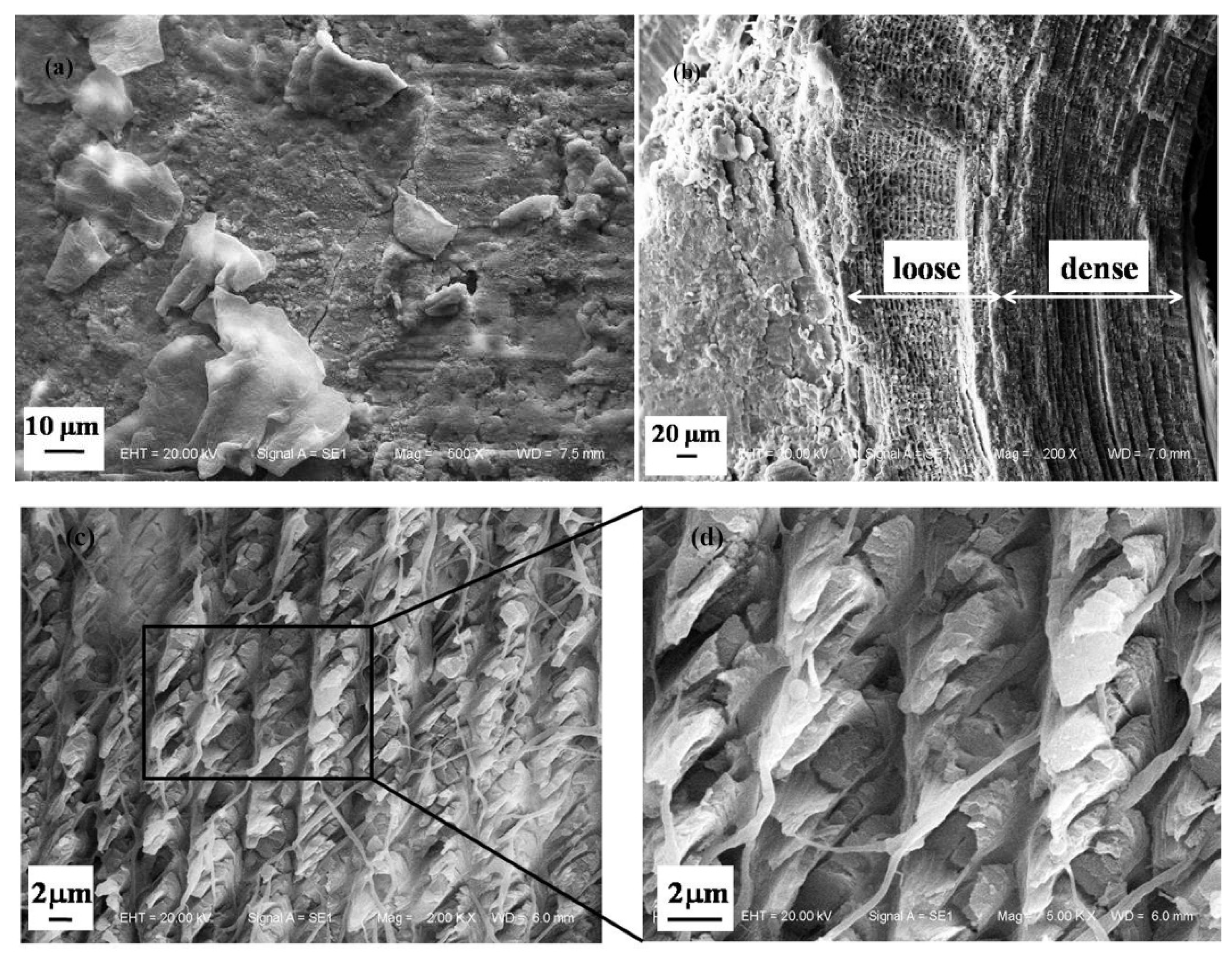 Applsci 08 00674 g006a