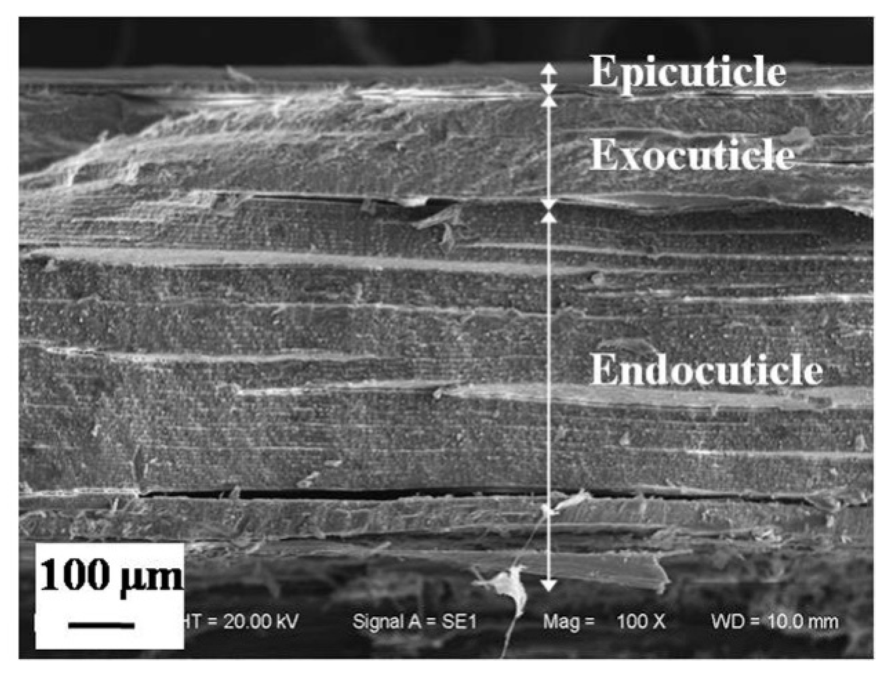 Applsci 08 00674 g007