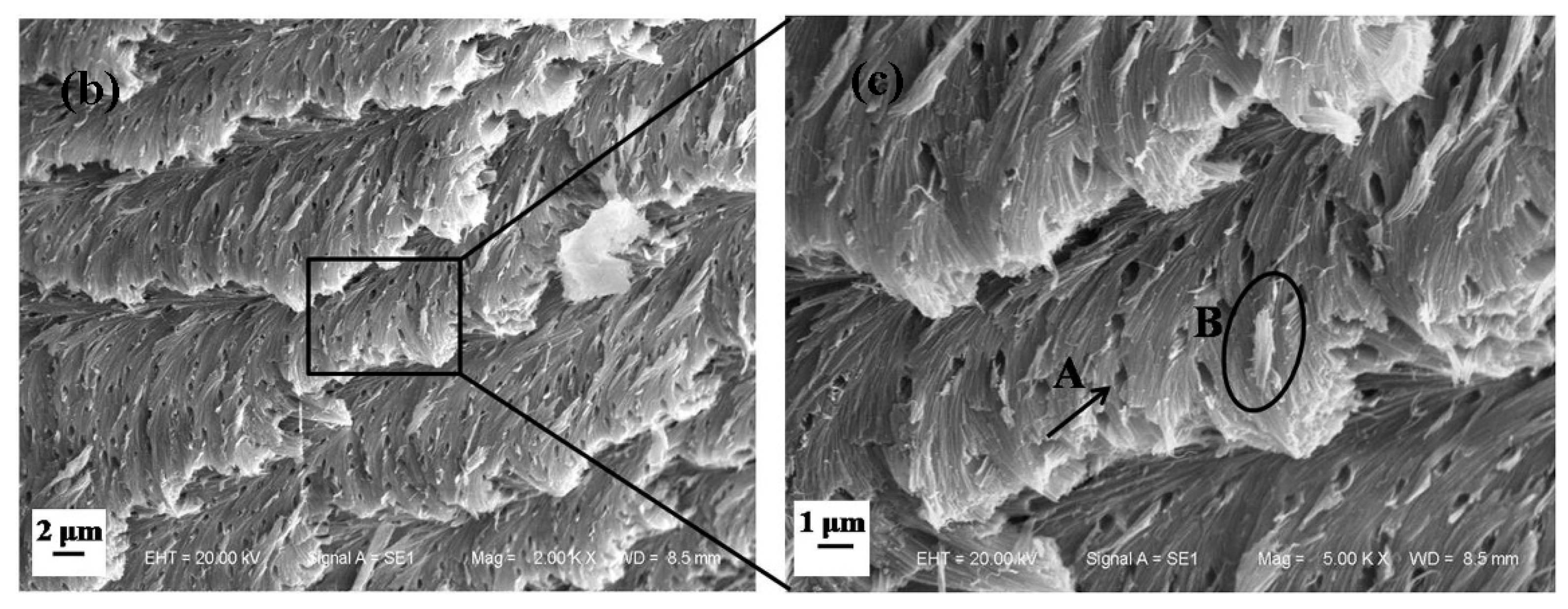 Applsci 08 00674 g008b