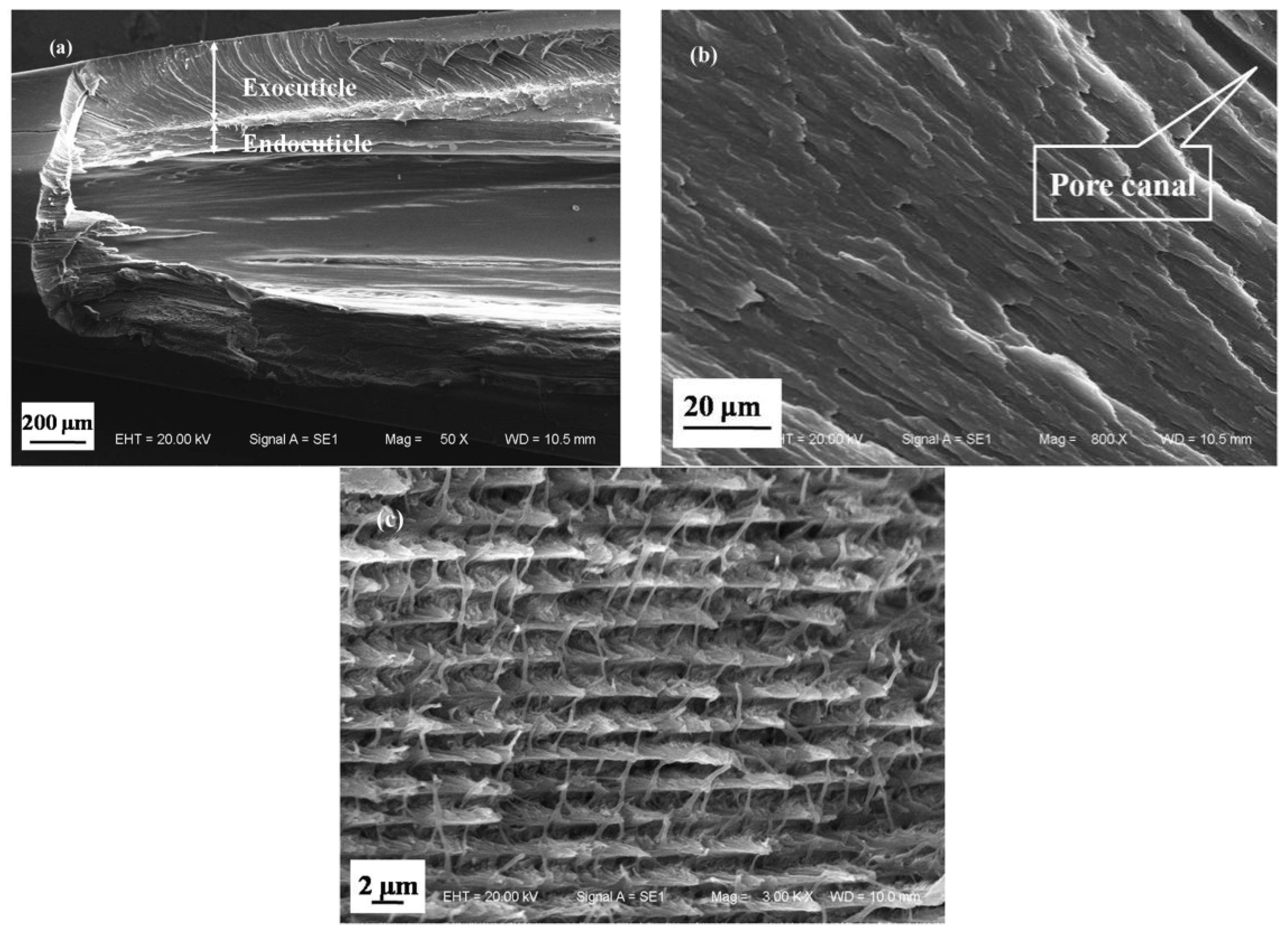 Applsci 08 00674 g009