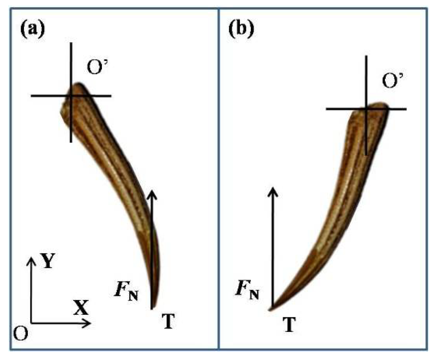 Applsci 08 00674 g012