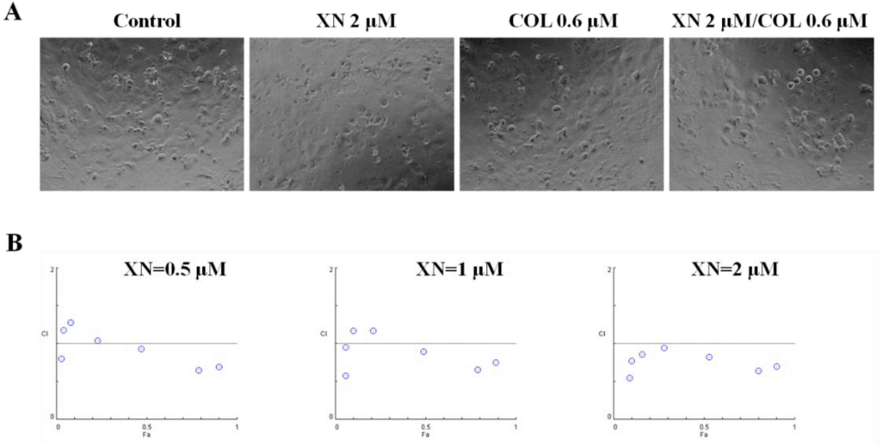 Applsci 08 00681 g004 550