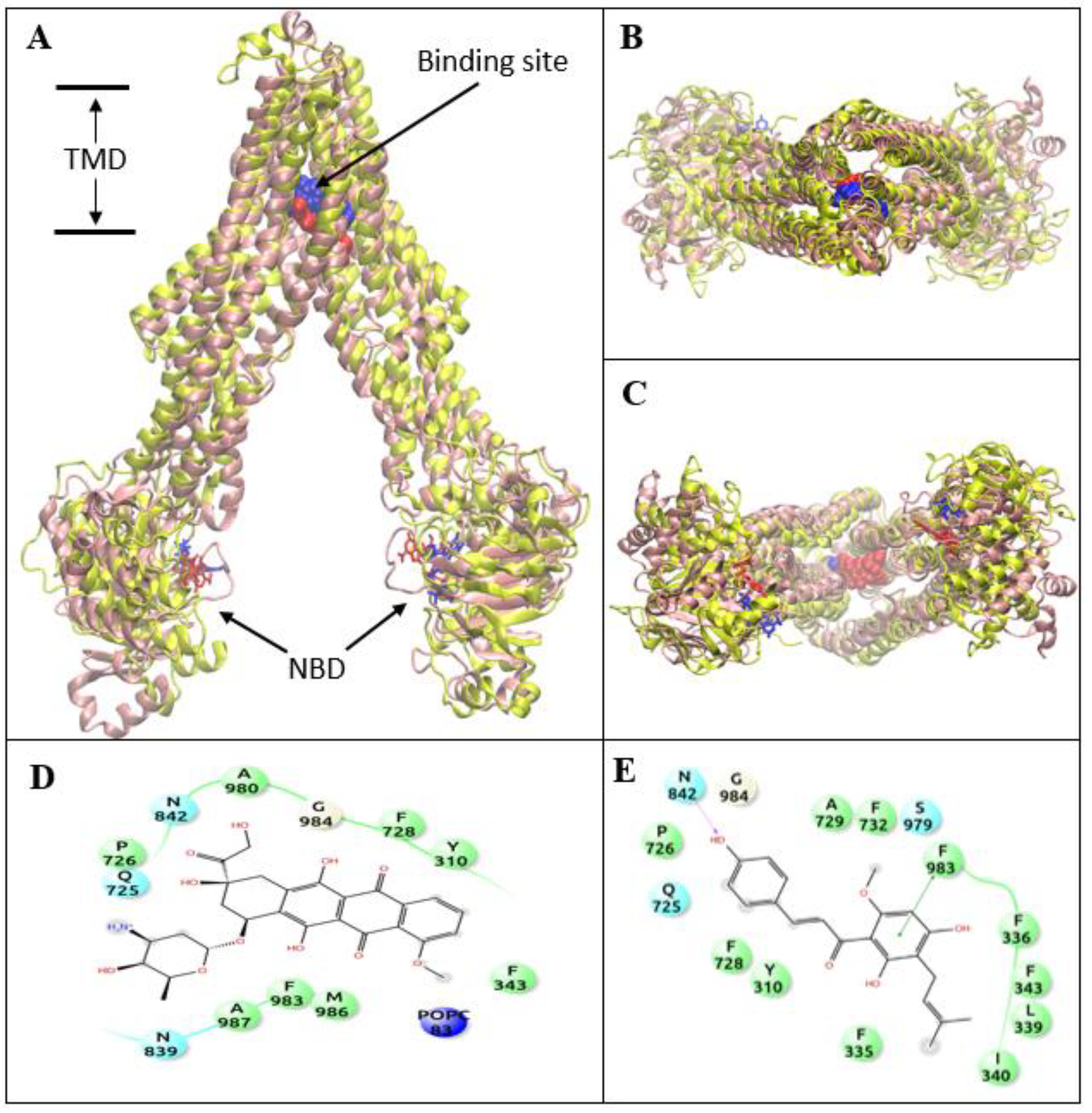 Applsci 08 00681 g005 550