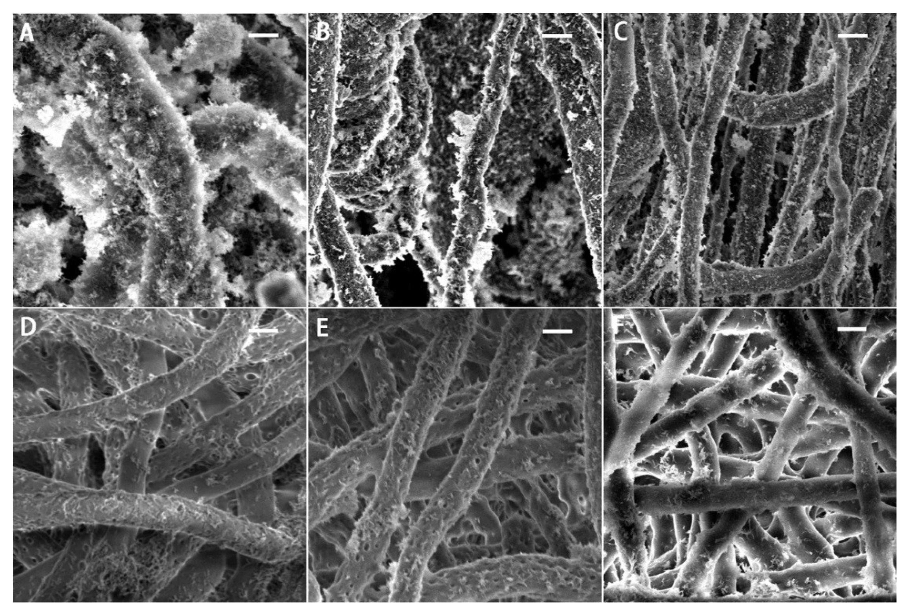 Applsci 08 00831 g006 550