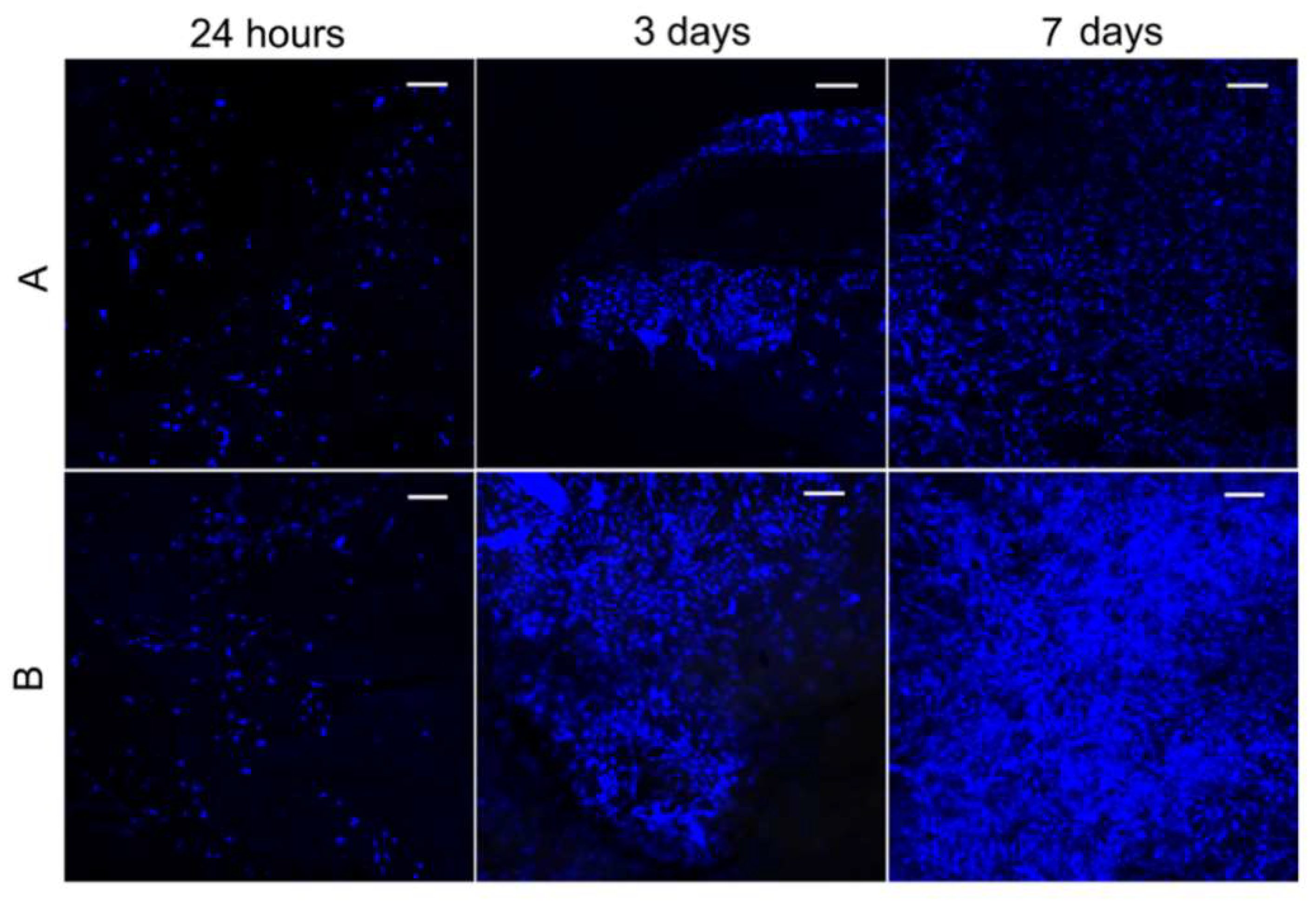 Applsci 08 00831 g010 550