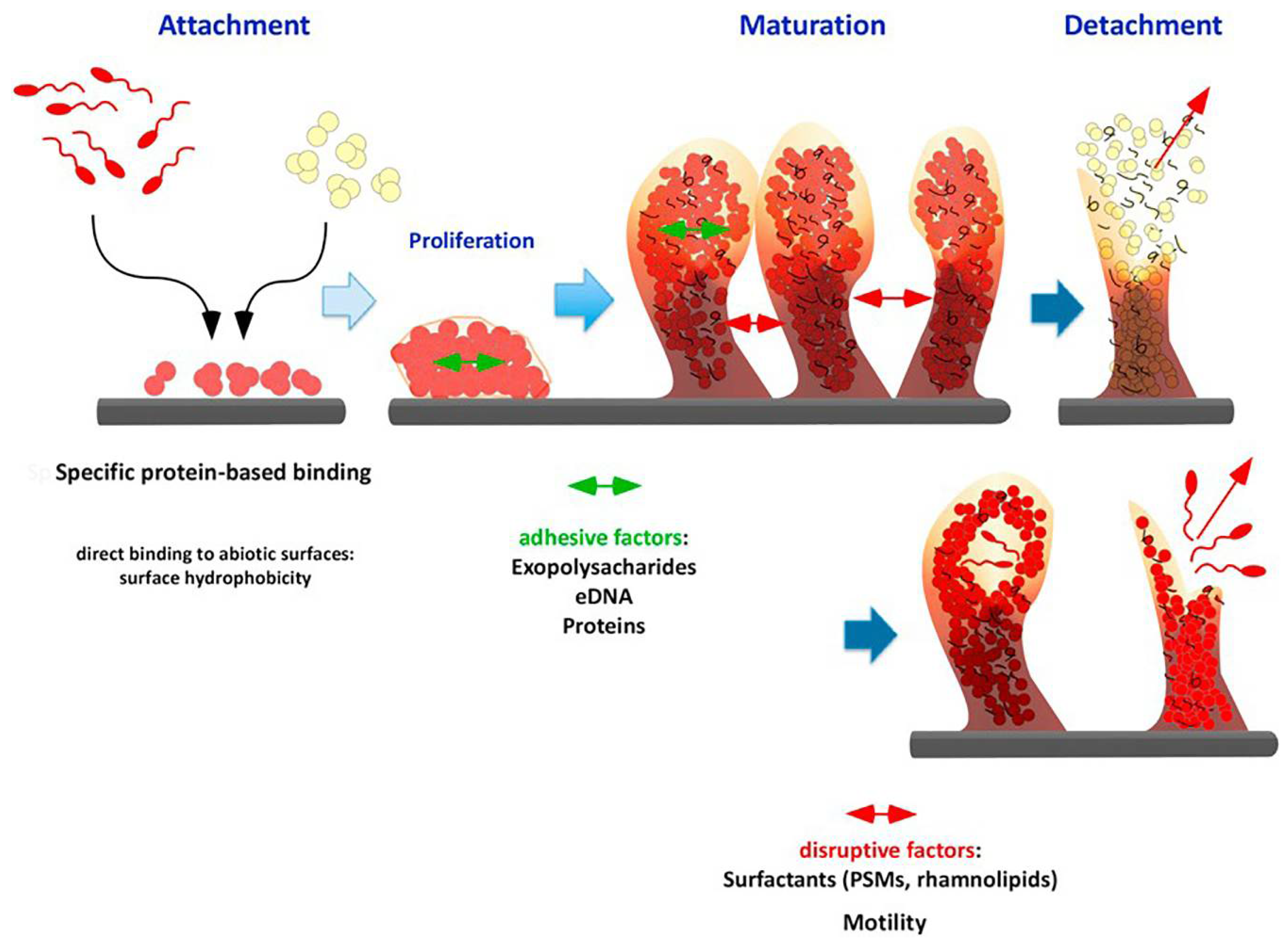 Applsci 08 00845 g001